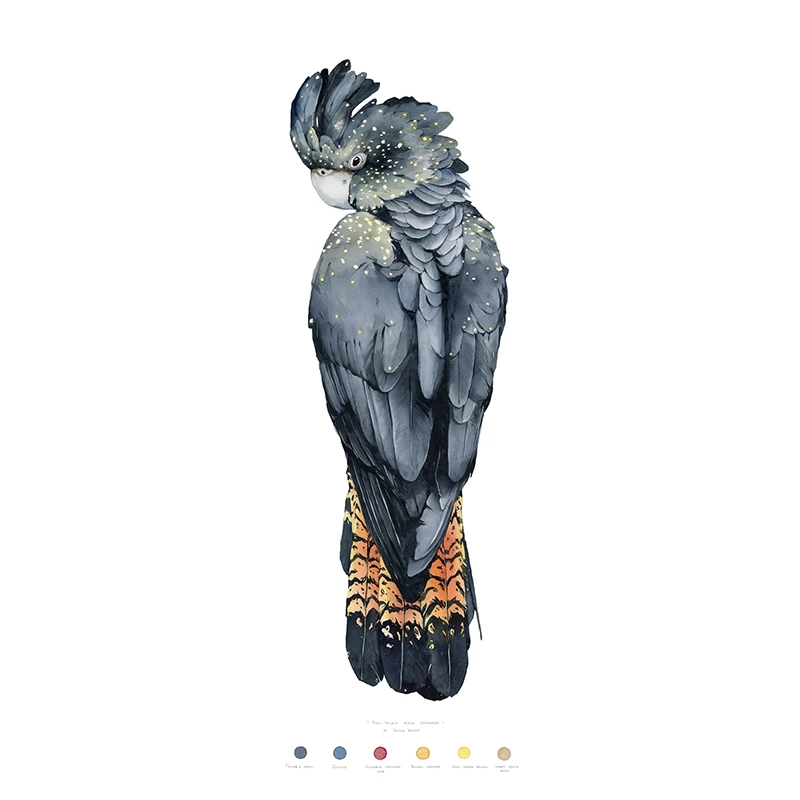 Birds collection by Polina Bright