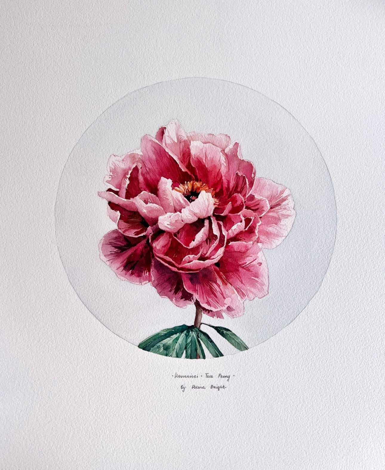 Hanakisoi tree peony
