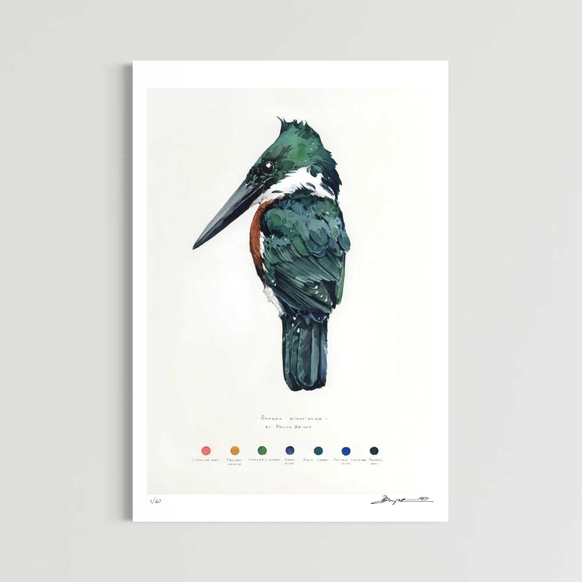 Aviary. Chapter II - Complete Set