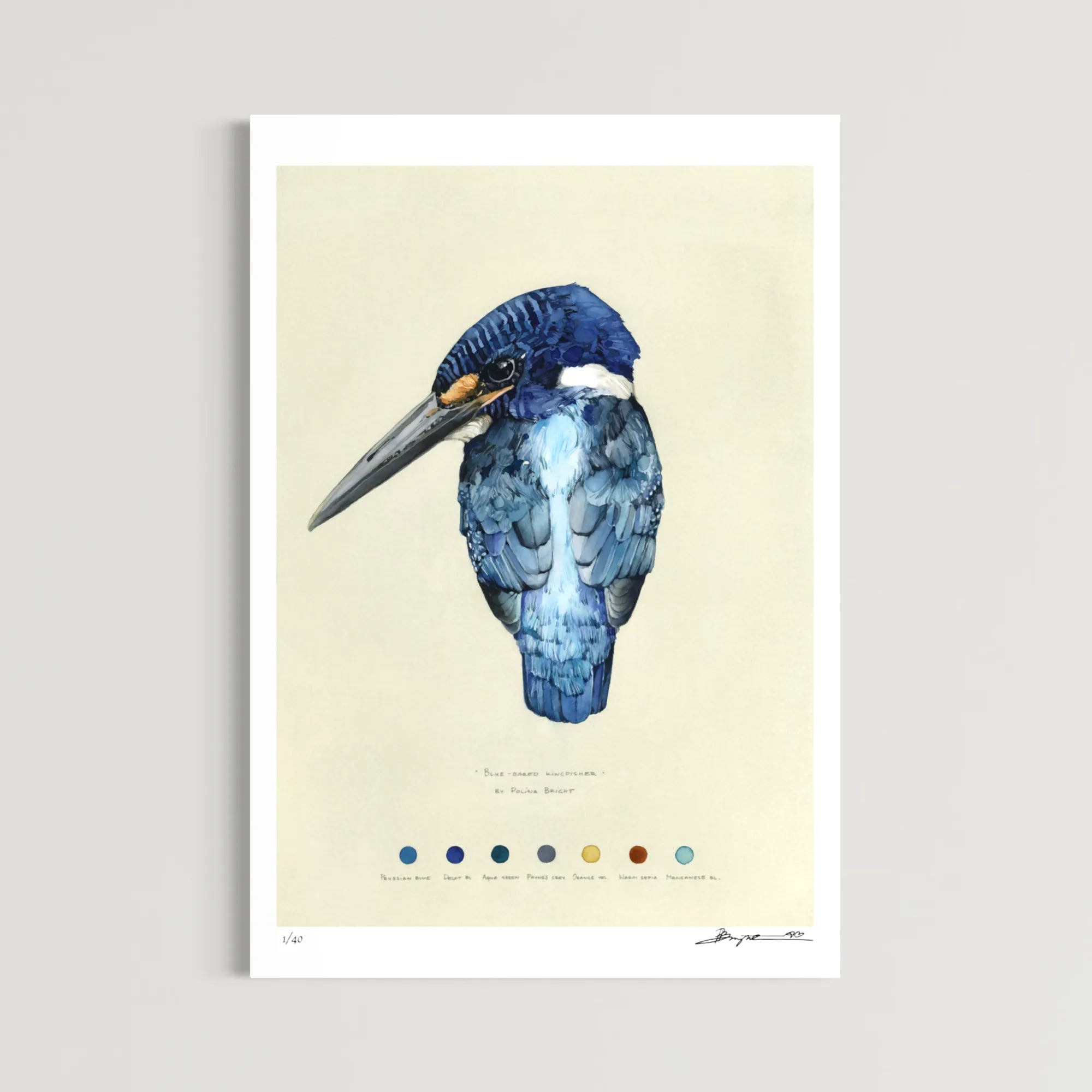Aviary. Chapter II - Complete Set