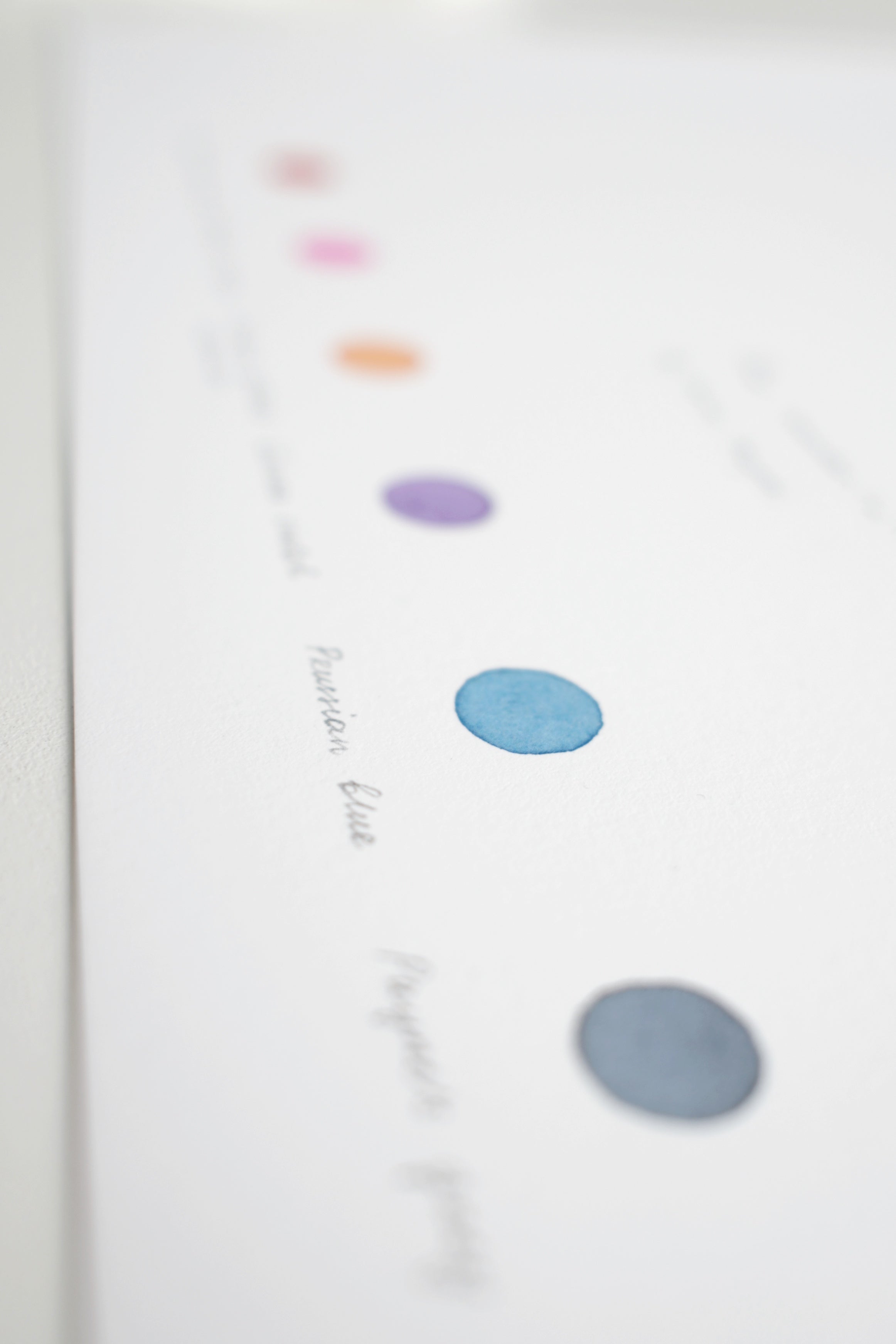 Pink cockatoo (male)