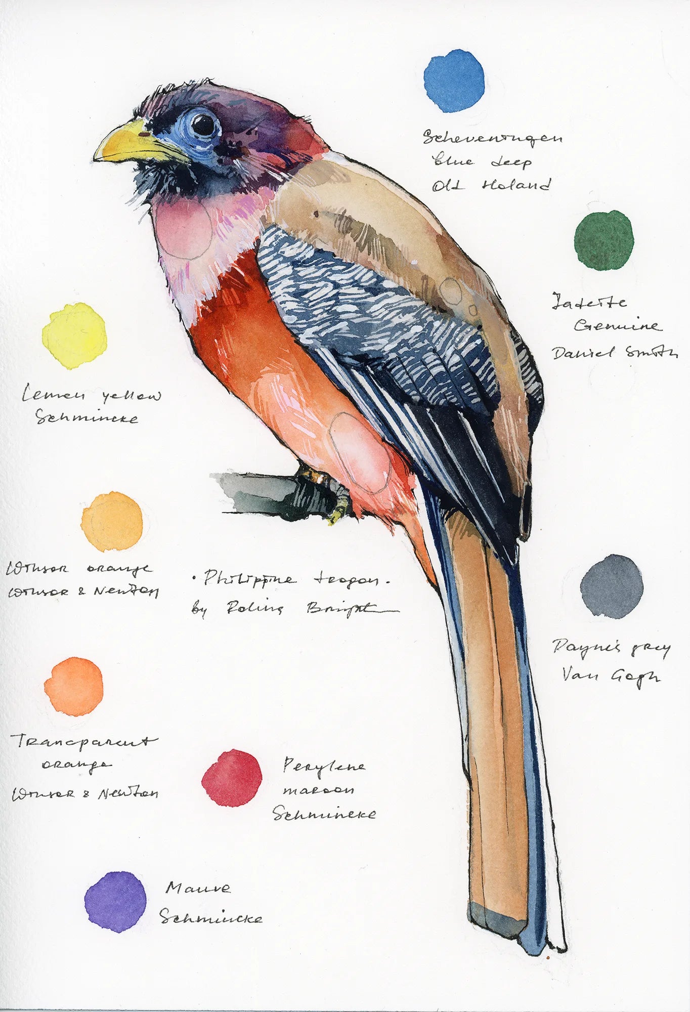 Original artwork "Philippine Trogon"