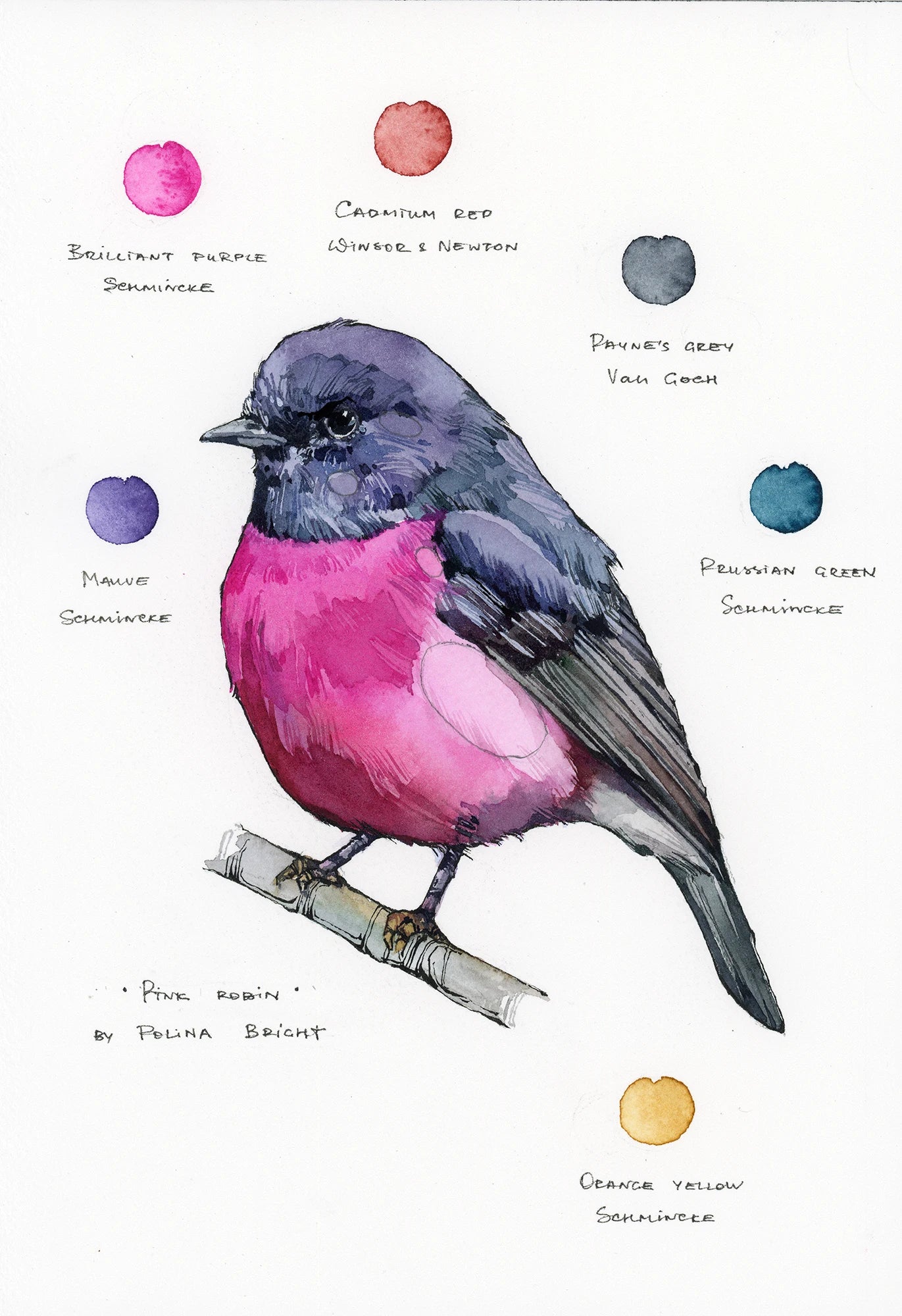 Original artwork "Pink Robin"