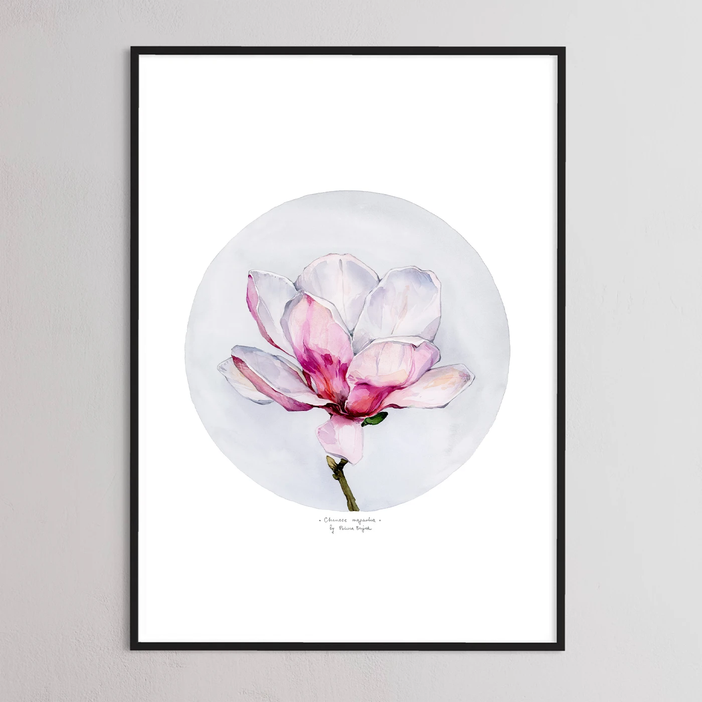 Chinese Magnolia by Polina Bright