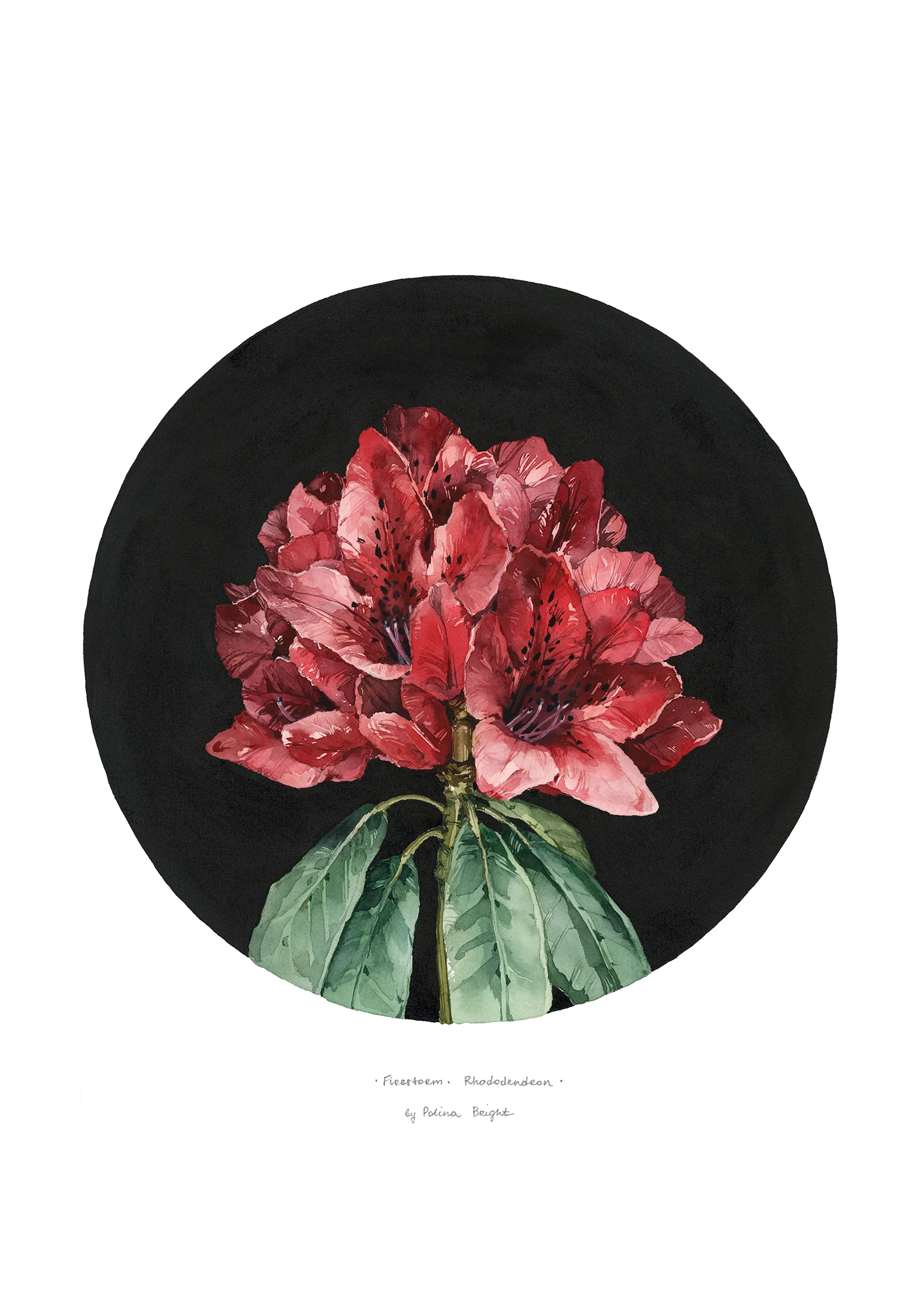 Firestorm rhododendron flower print by Polina Bright
