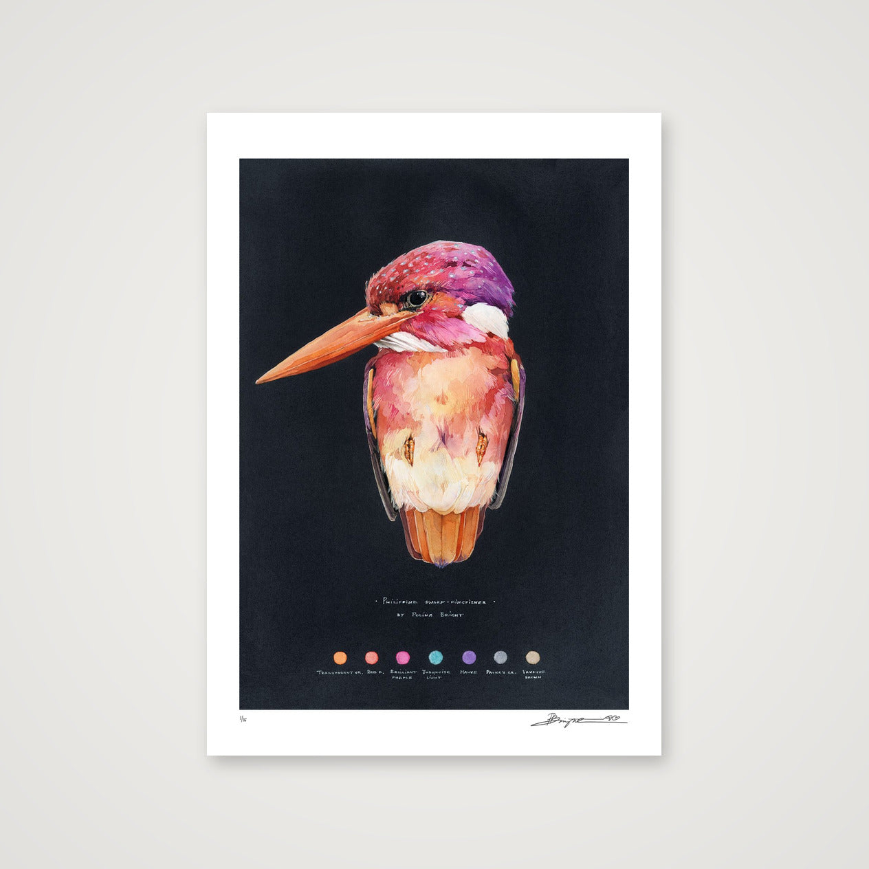 Philippine Dwarf Kingfisher print, A2
