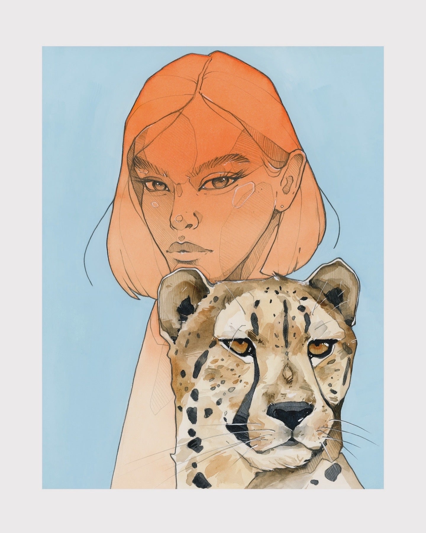 Cheetah