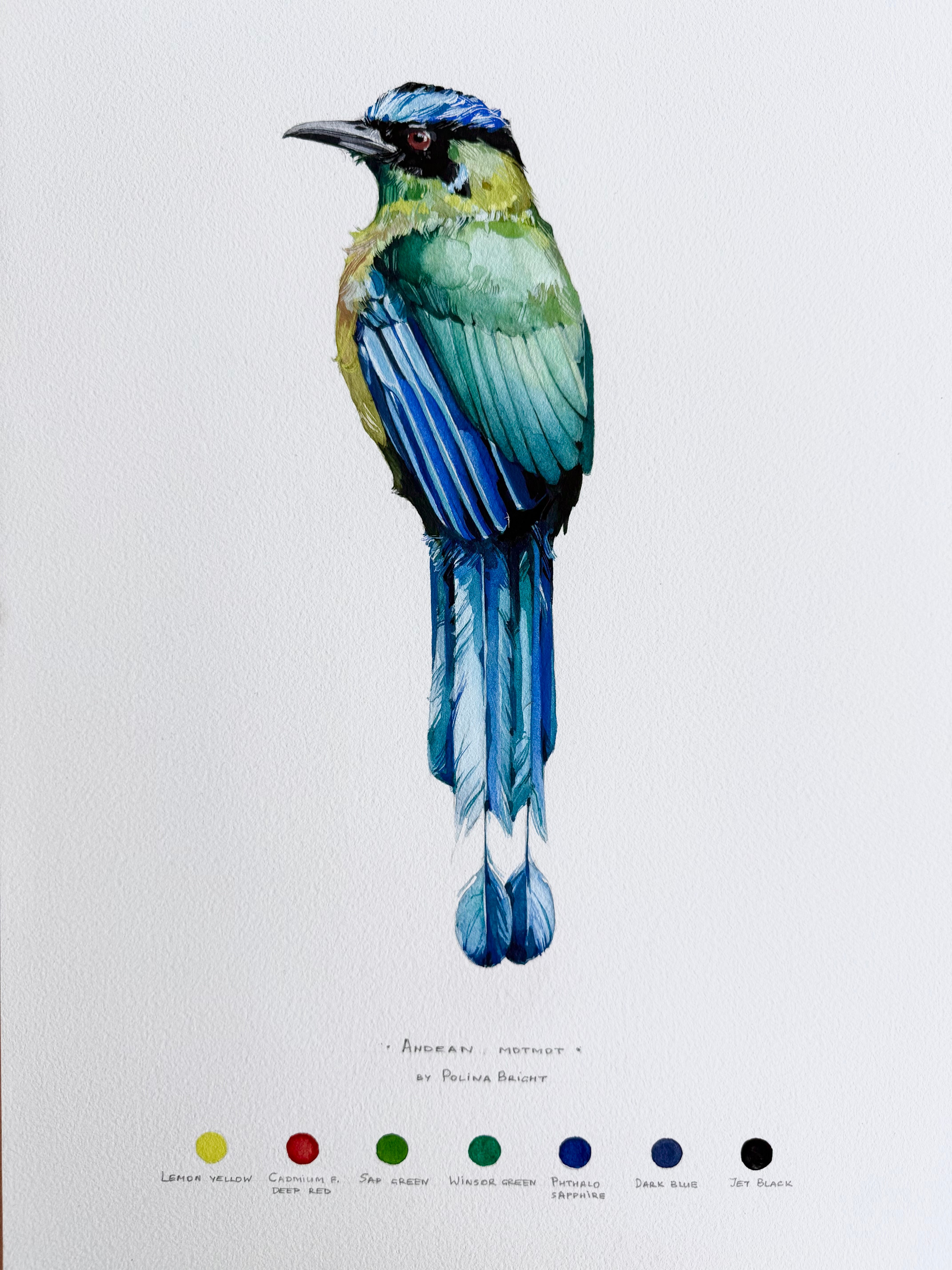 Andean motmot