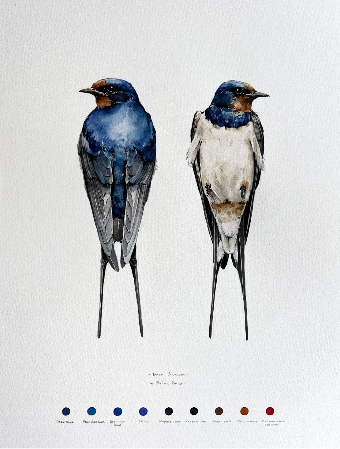 Barn swallow - original painting