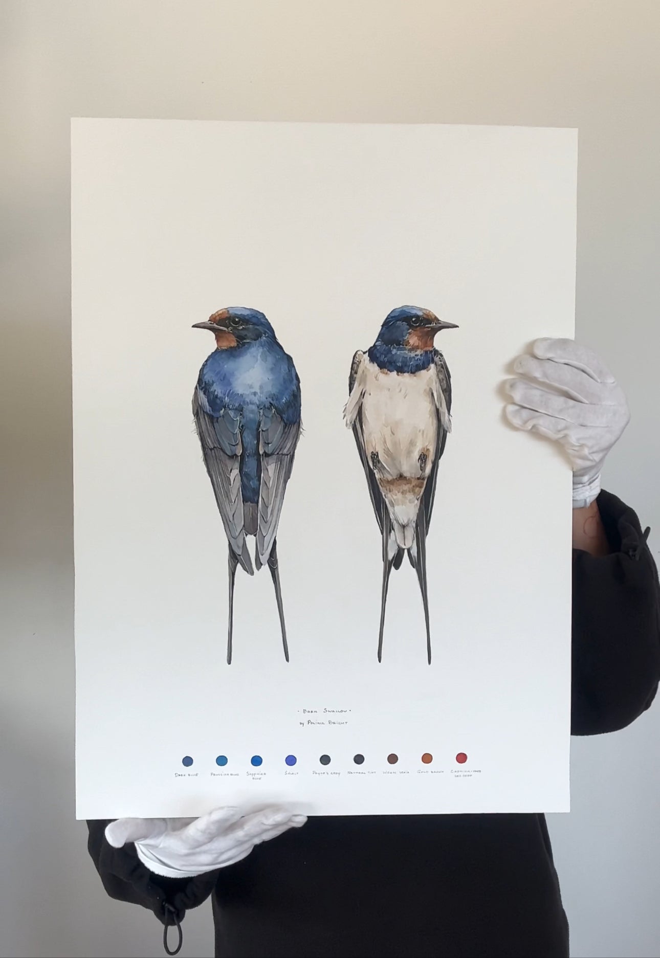 Barn swallow - original painting