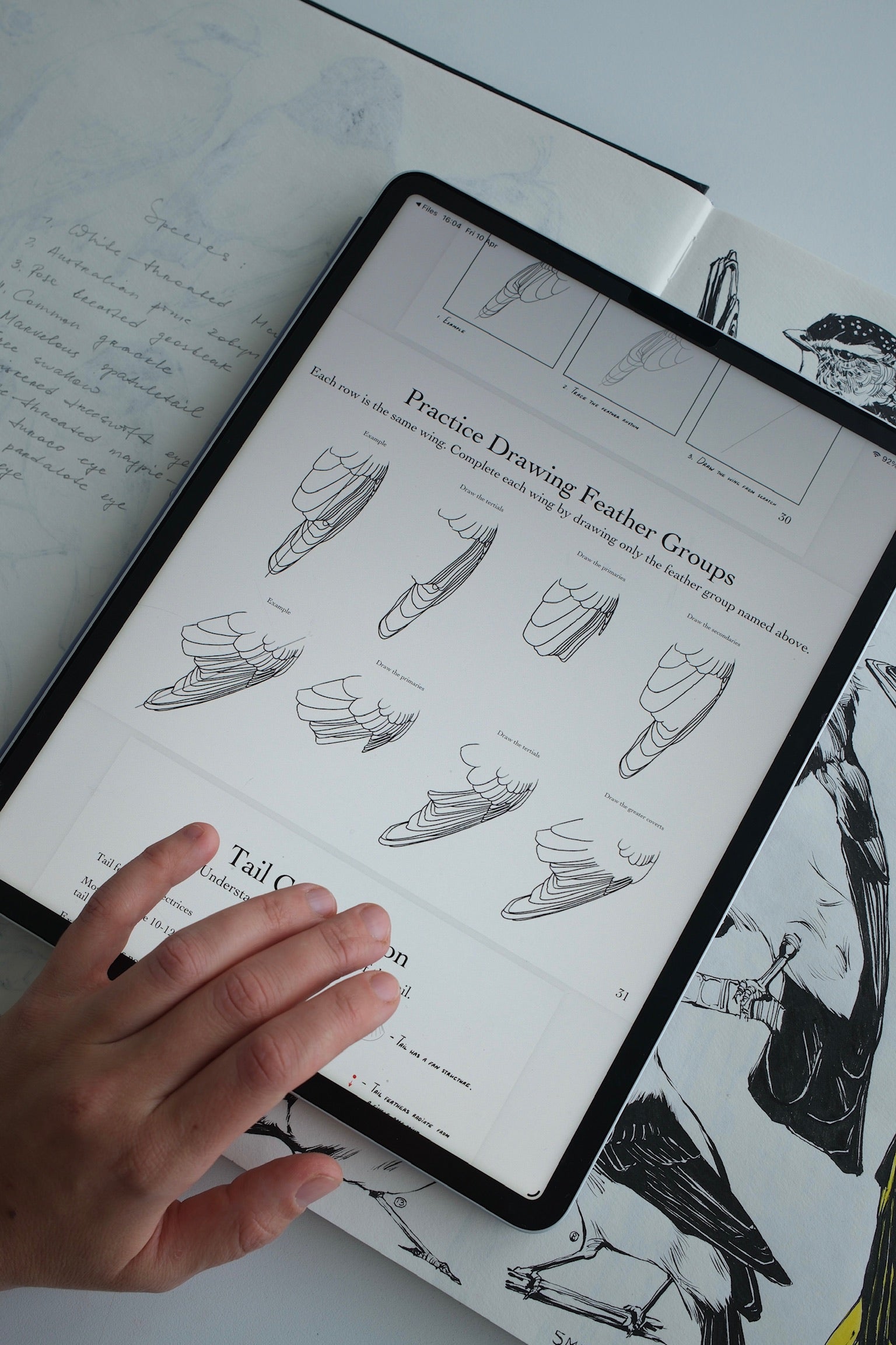 Practice Drawing Feather Groups page from the Drawing Birds digital workbook displayed on a tablet