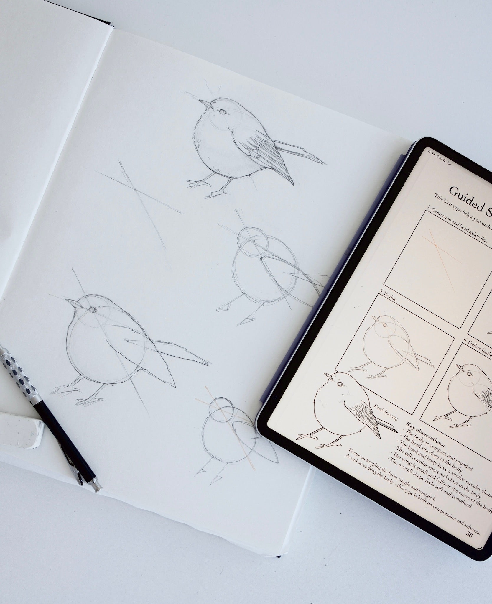 Drawing Birds workbook open to a pencil sketch of a bird, next to a tablet showing the Guided Studies page from the digital PDF