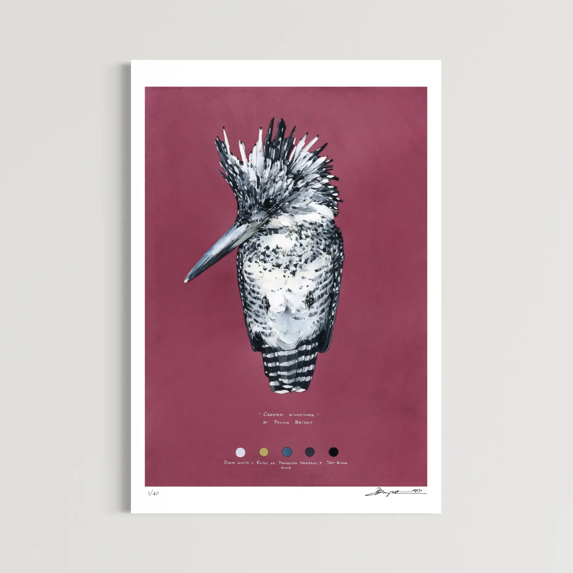 Aviary. Chapter II - Complete Set