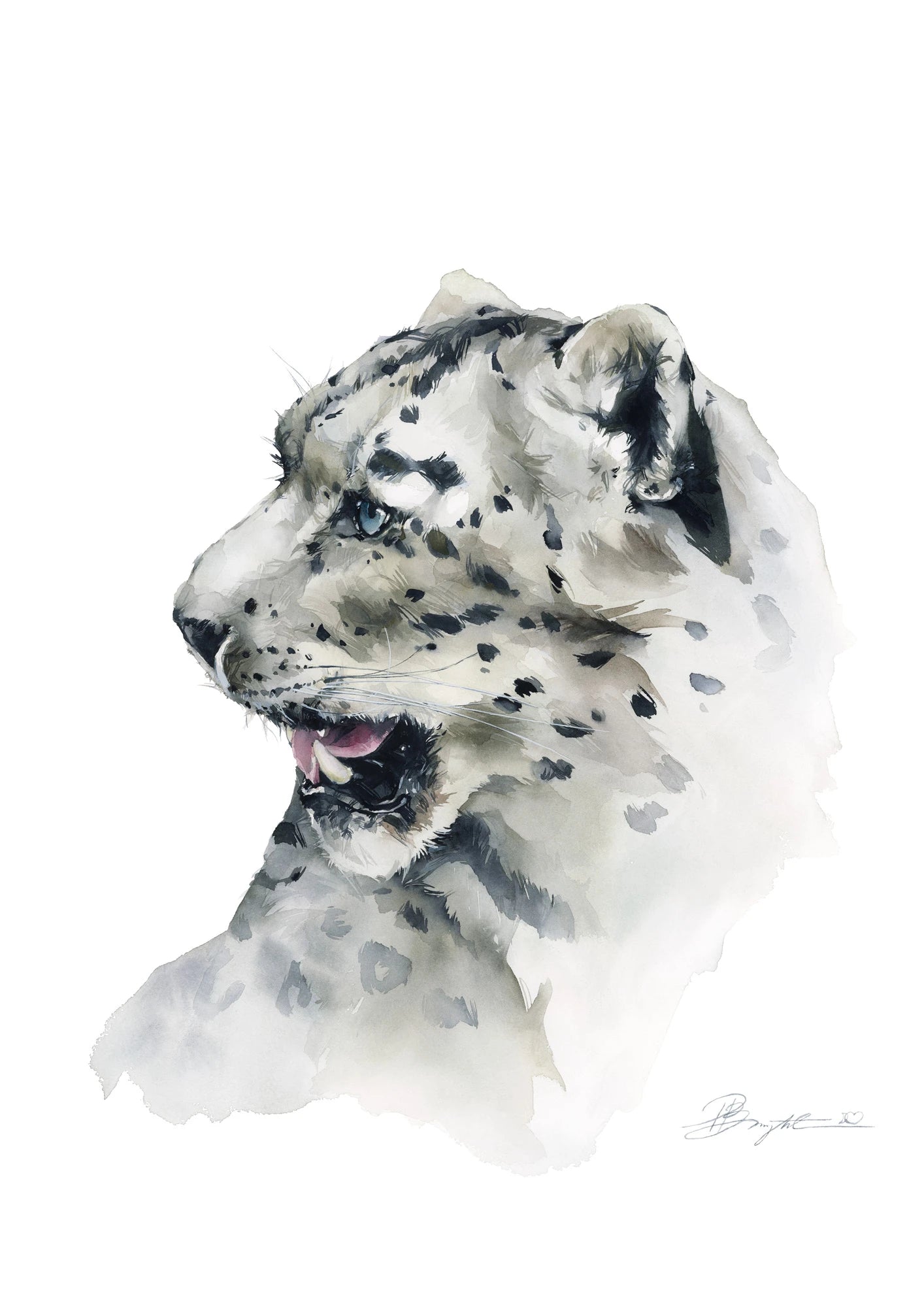Snow leopard 2022 by polina bright
