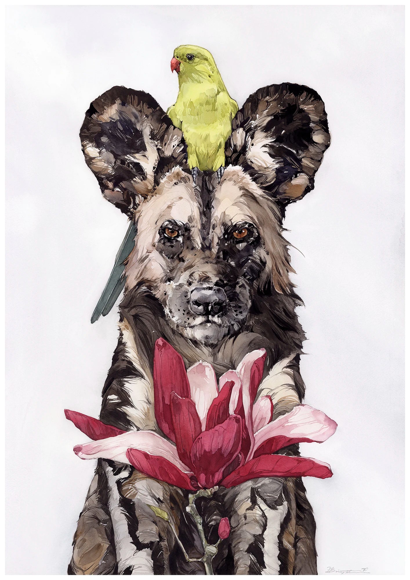 Trio: Regent parrot • African wild dog • Magnolia liliiflora - print by Polina Bright