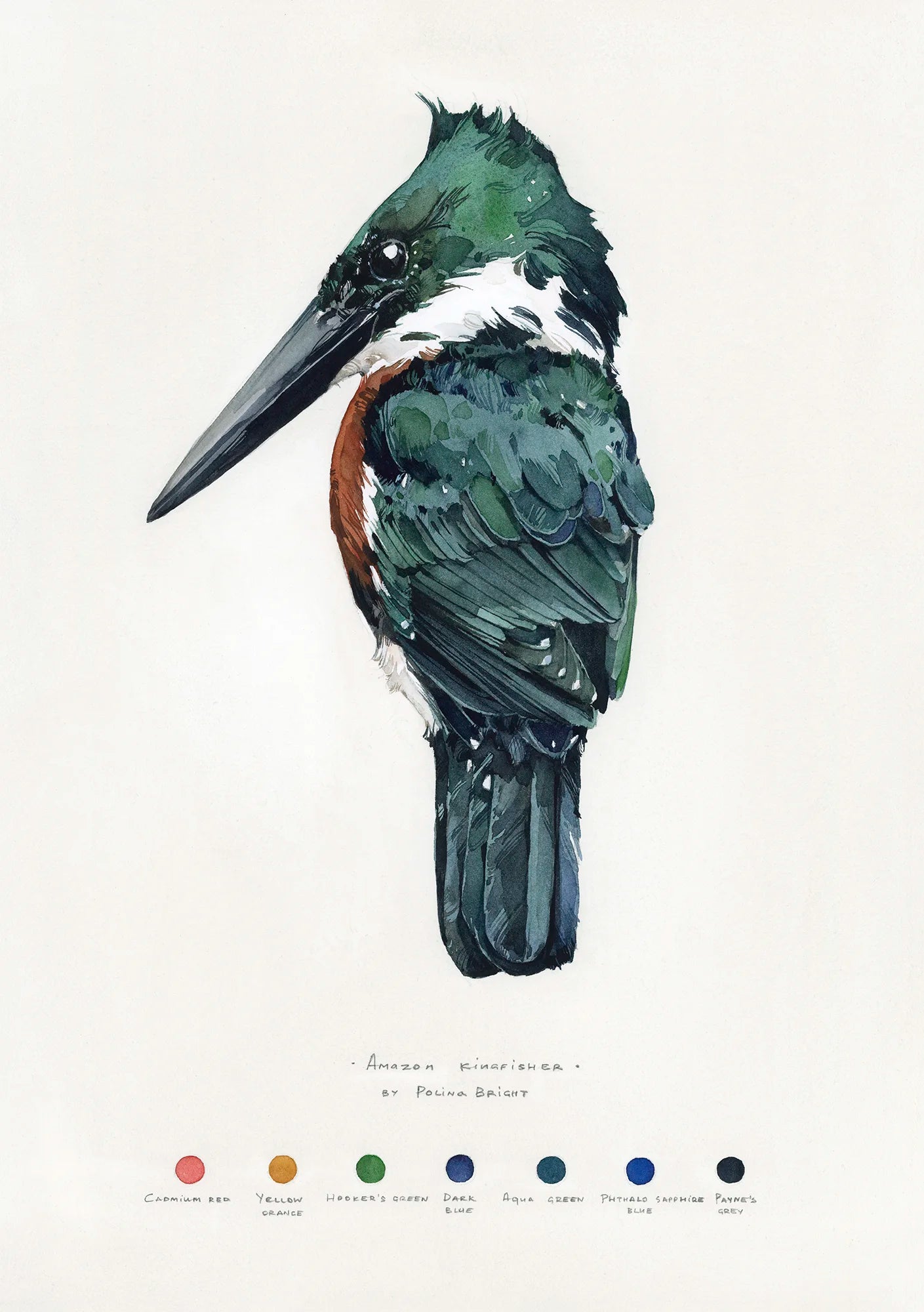 Amazon Kingfisher