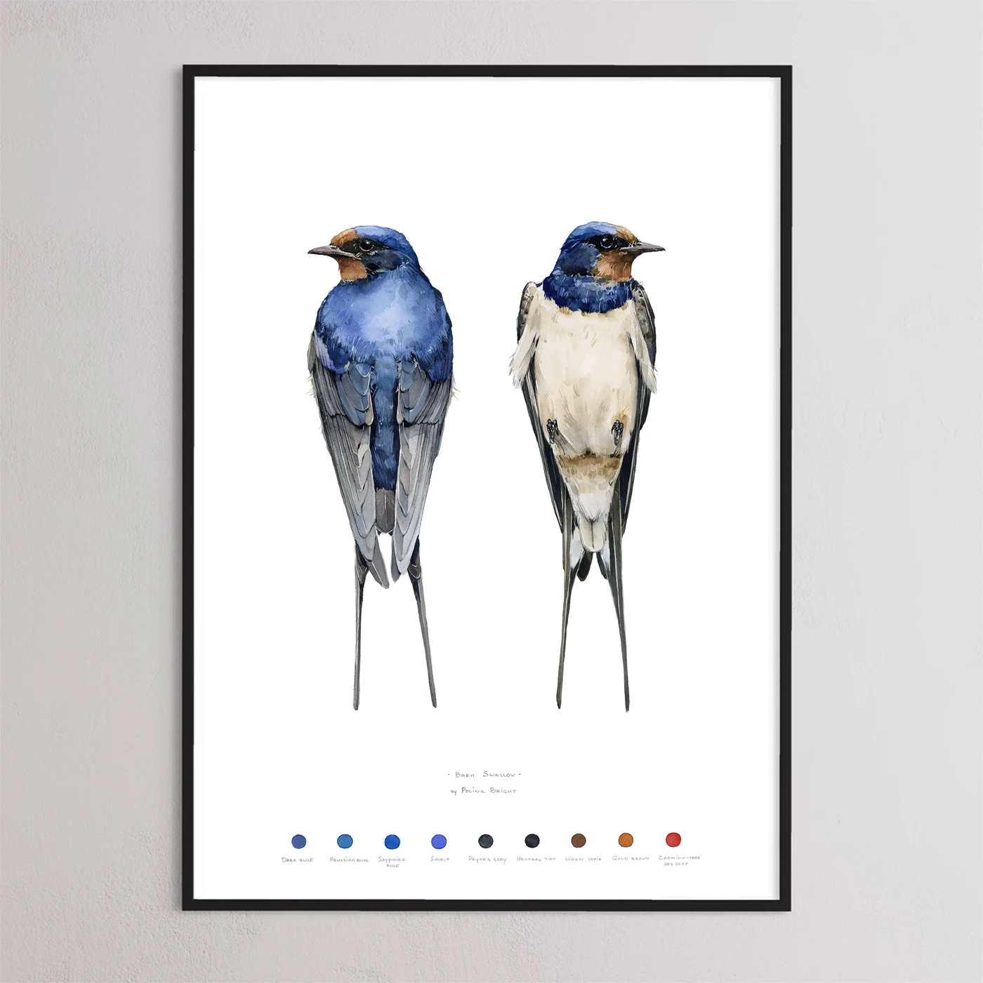 Barn swallow bird print by Polina Bright