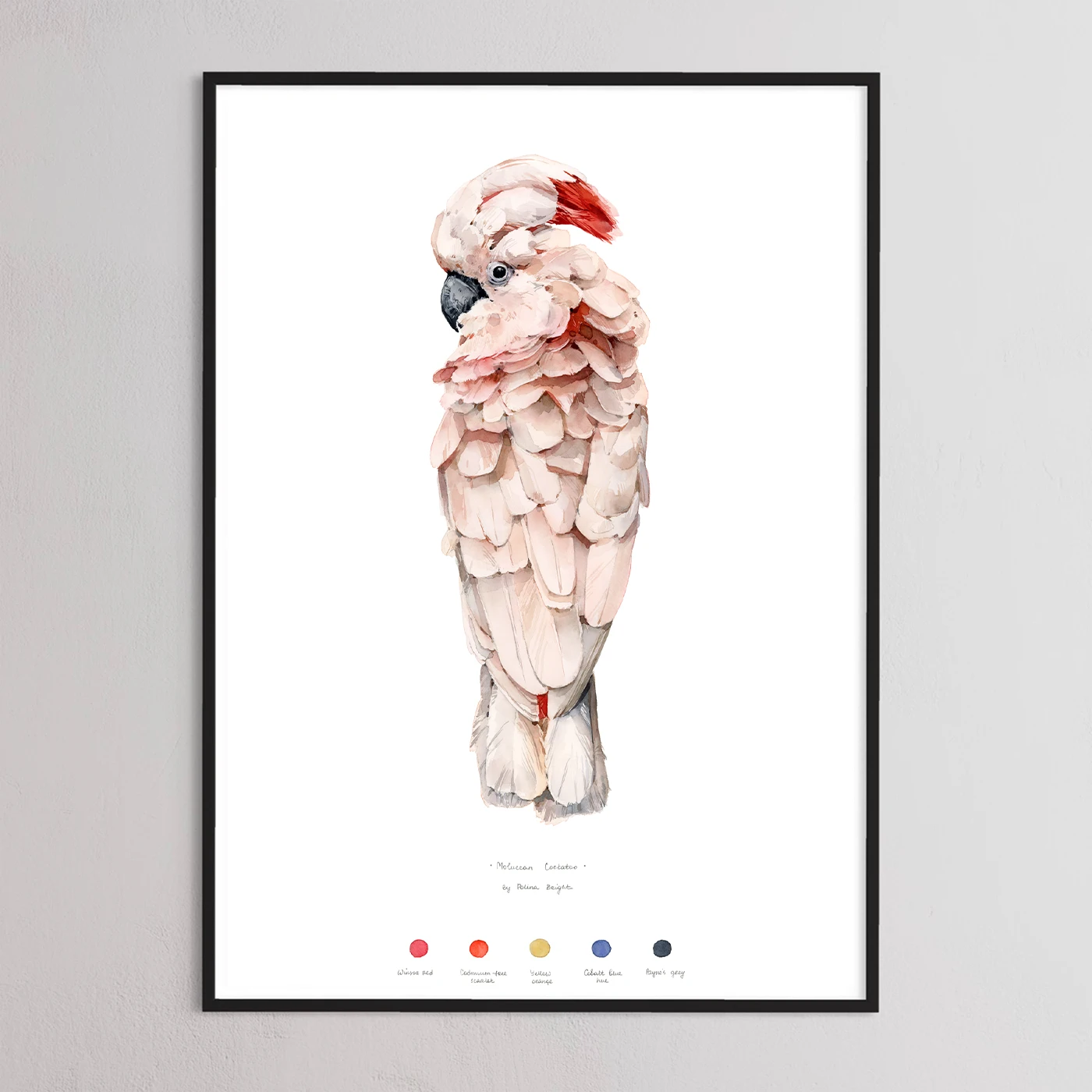 Moluccan cockatoo print by Polina Bright