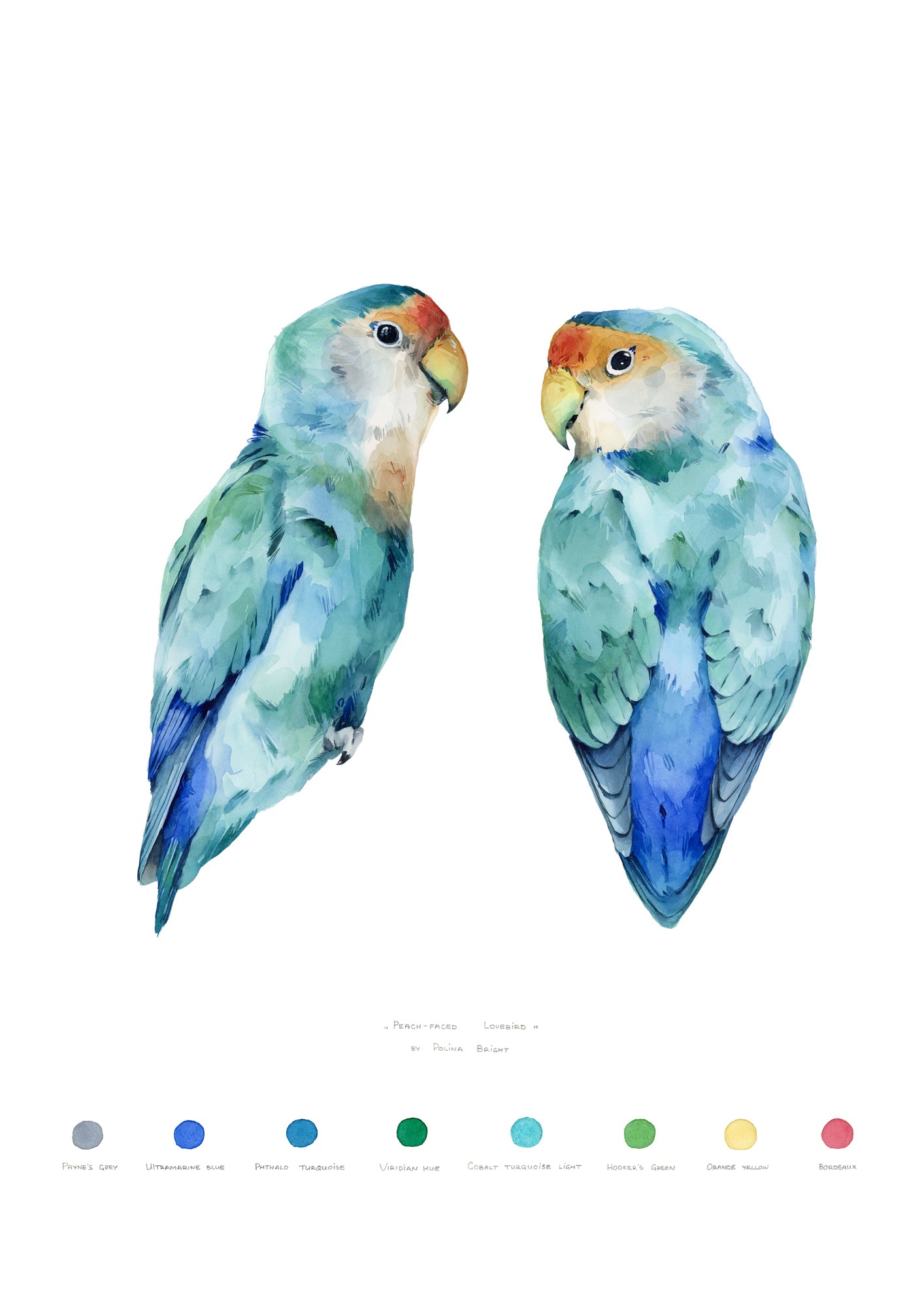 Peach-Faced Lovebirds by Polina Bright