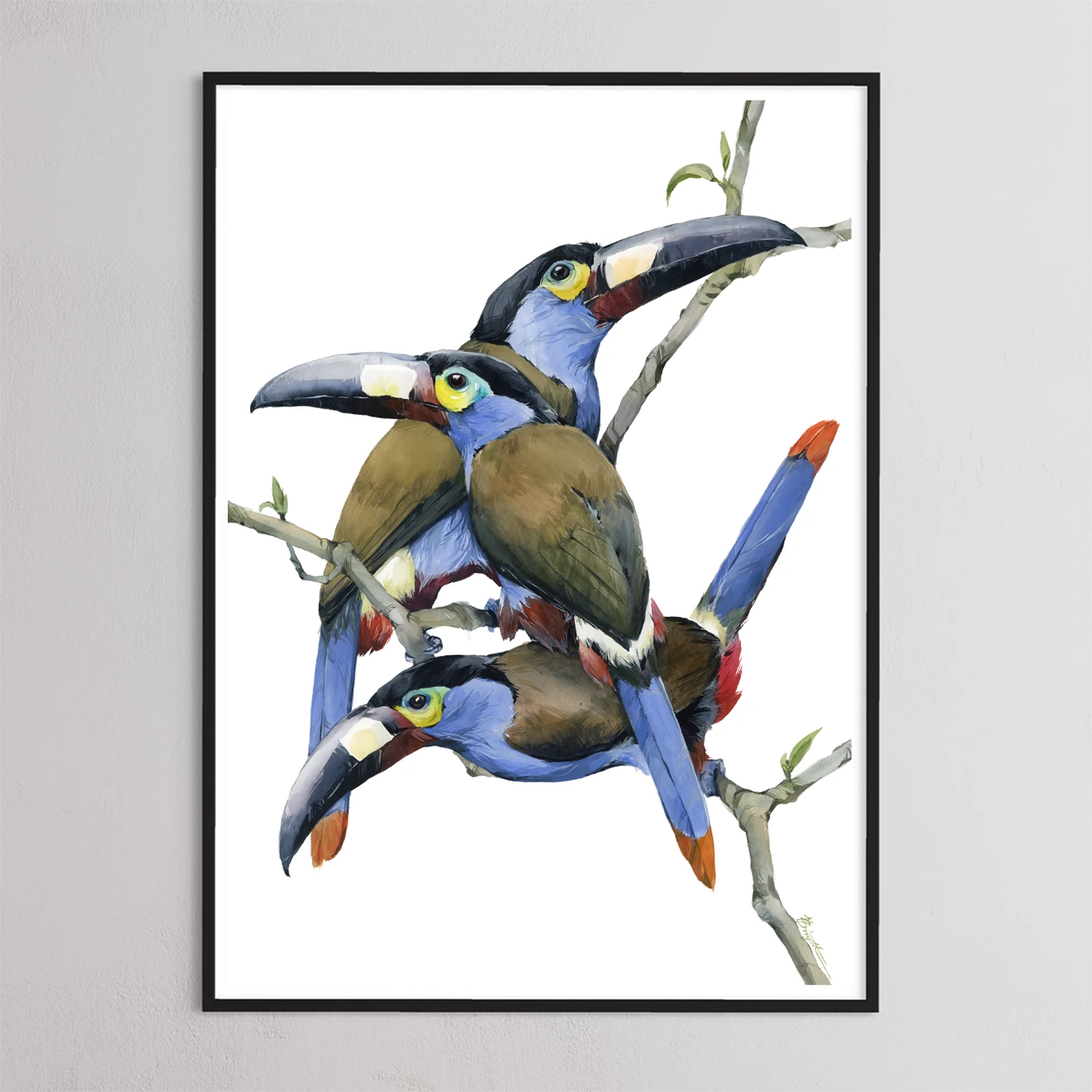 Plate-billed Mountain Toucans by Polina Bright