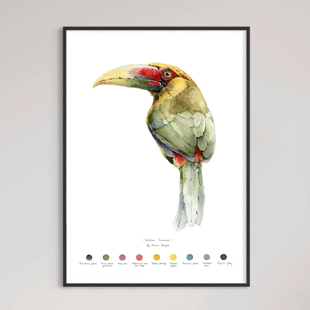Saffron toucanet print by Polina Bright