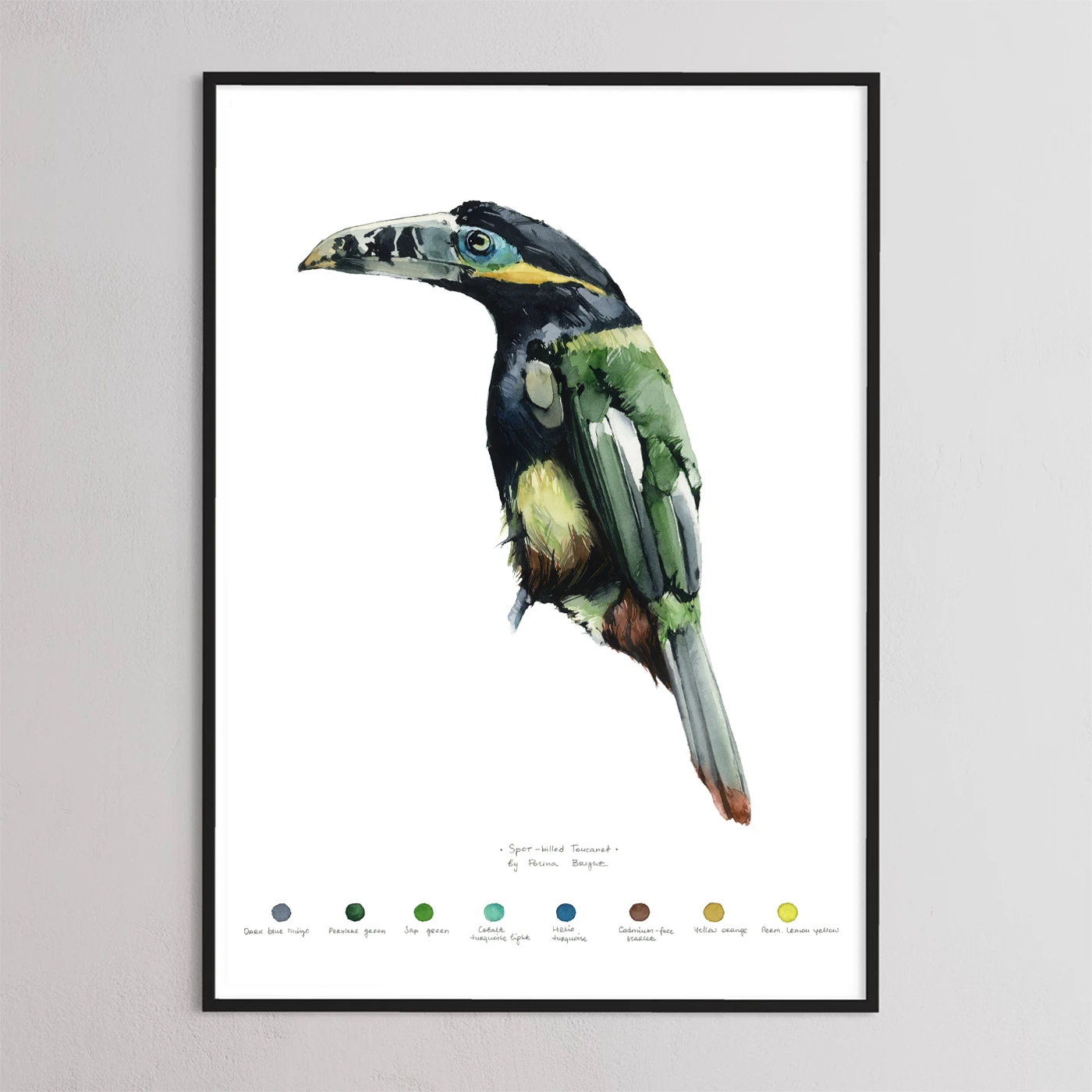 Spot billed toucanet by Polina Bright