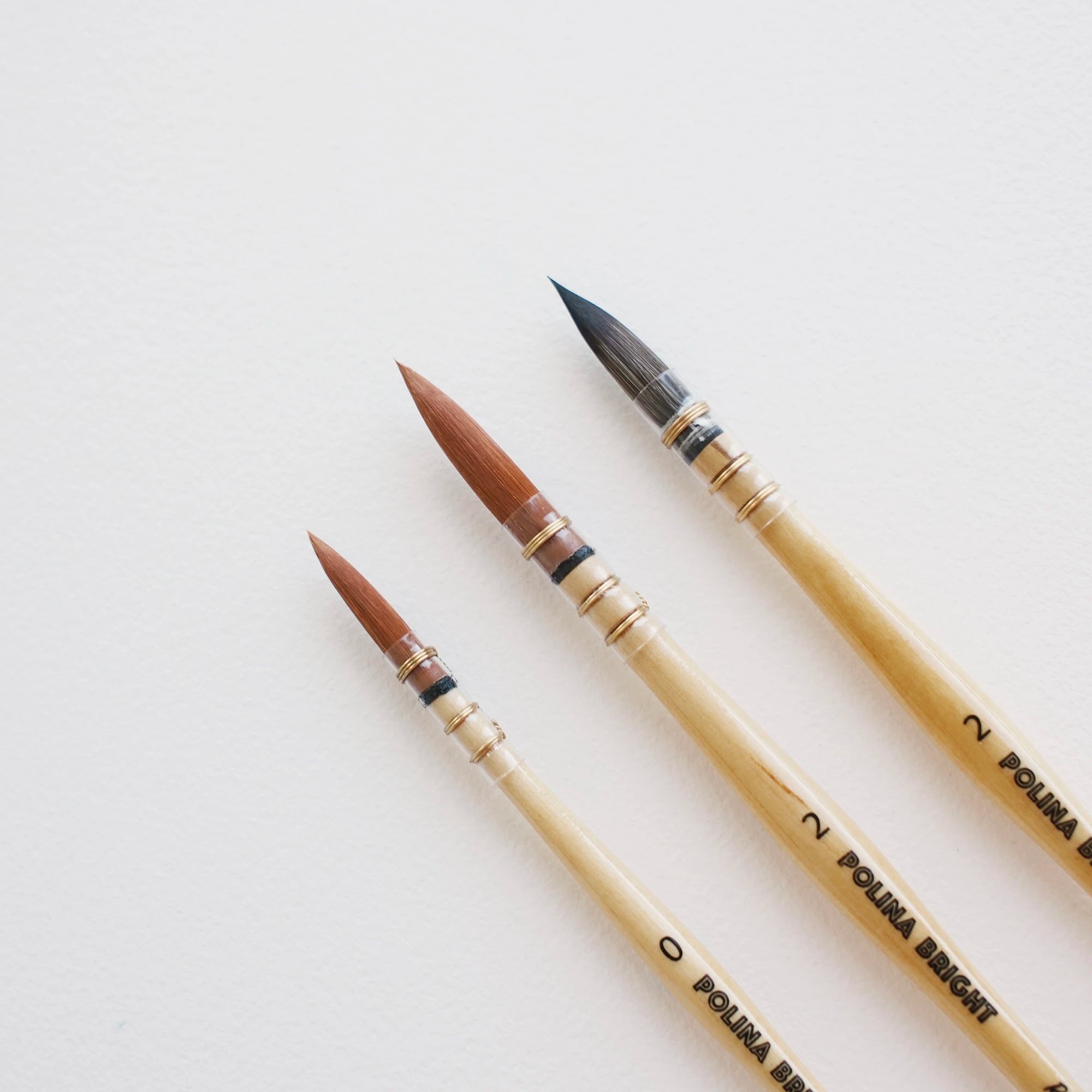 Polina Bright Core Brush set