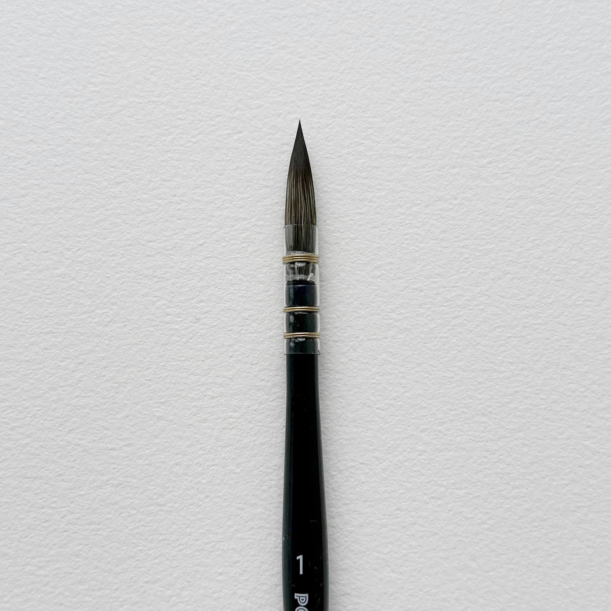 Professional watercolor Mop brush - Cruelty free & Vegan - Polina Bright
