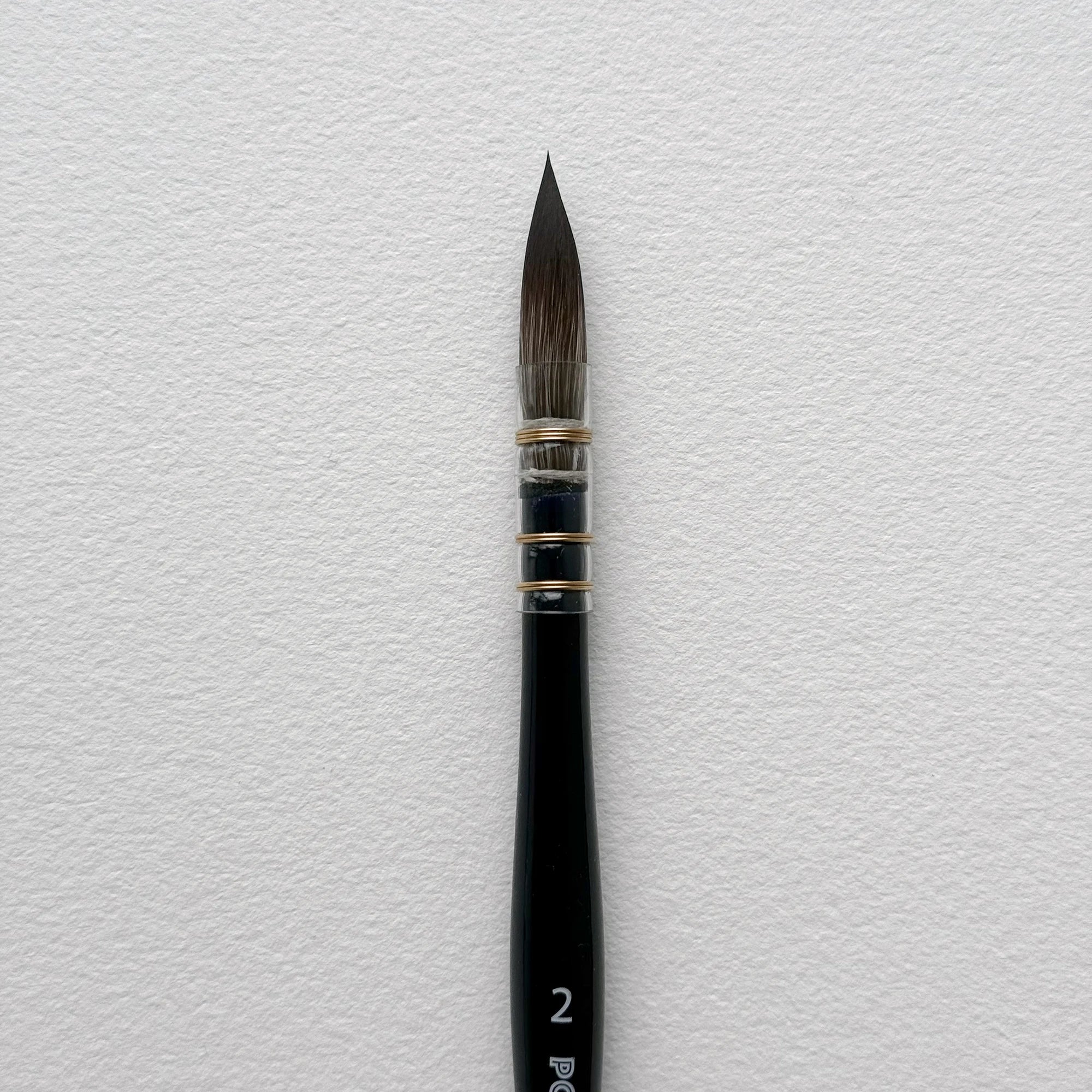 Professional watercolor Mop brush - Cruelty free & Vegan - Polina Bright