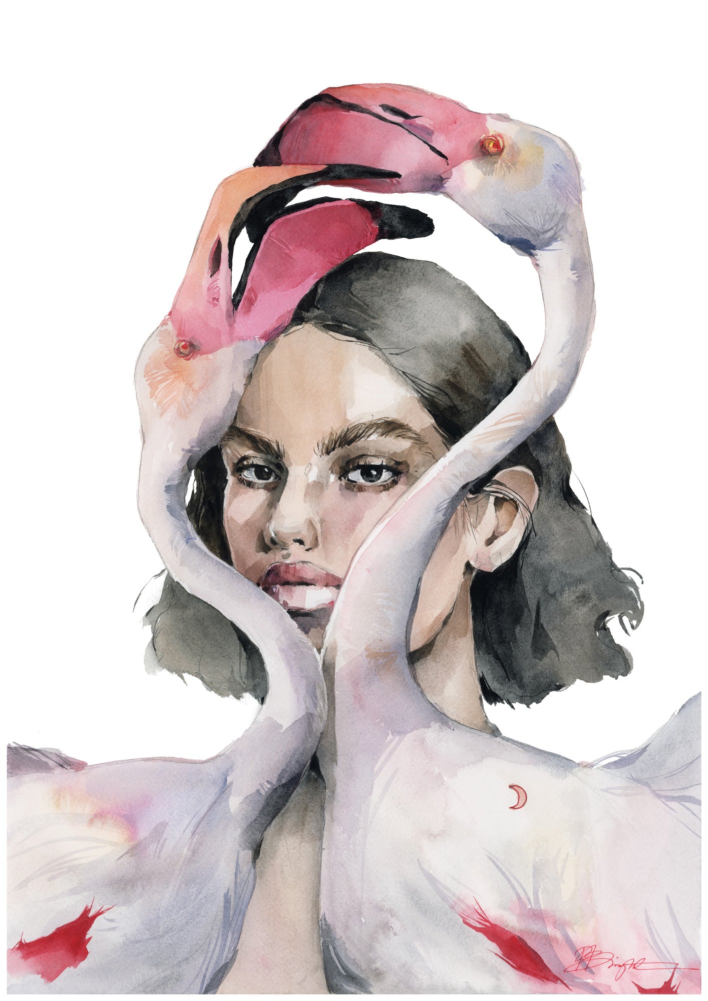 Flamingo Kiss