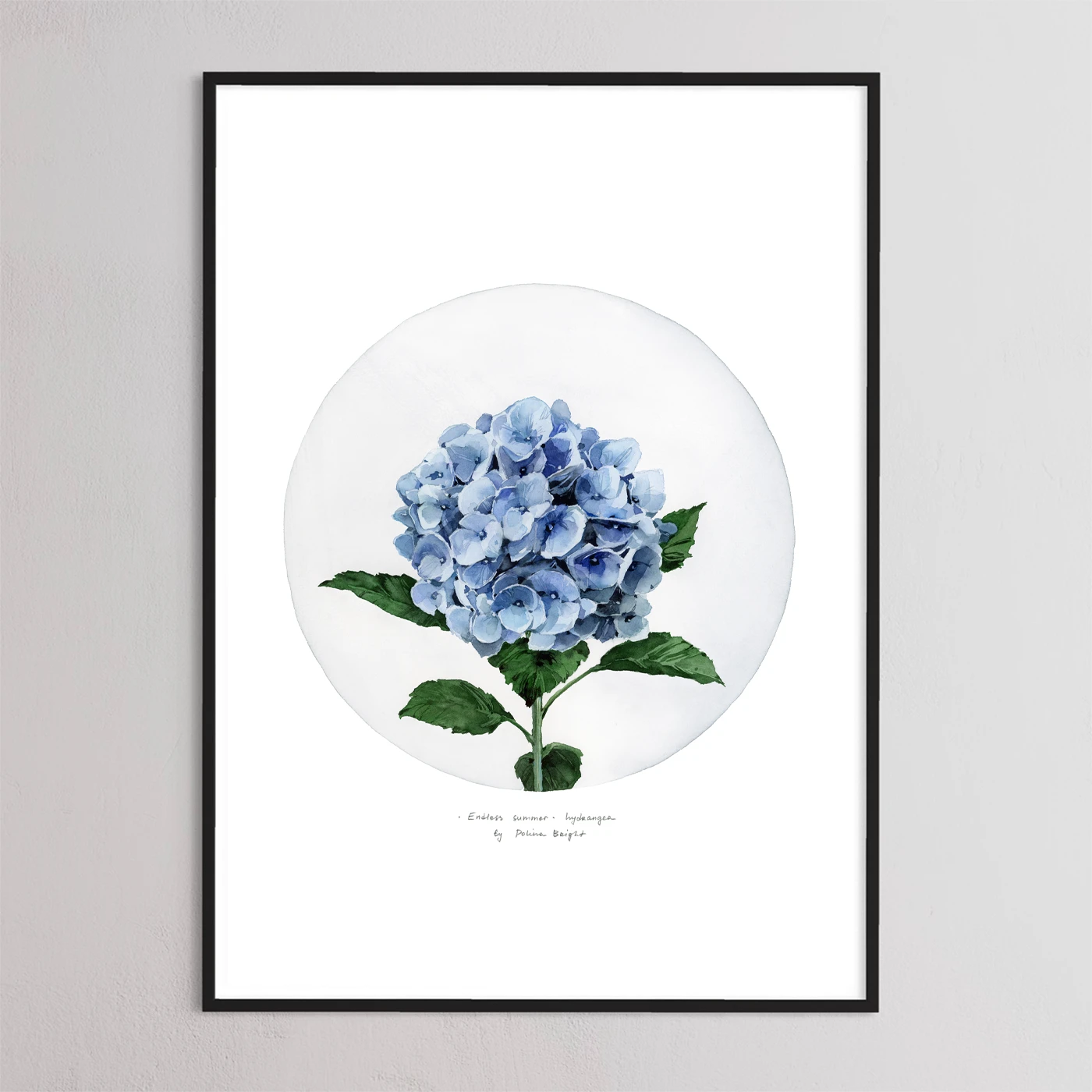 Blue hydrangea by Polina Bright