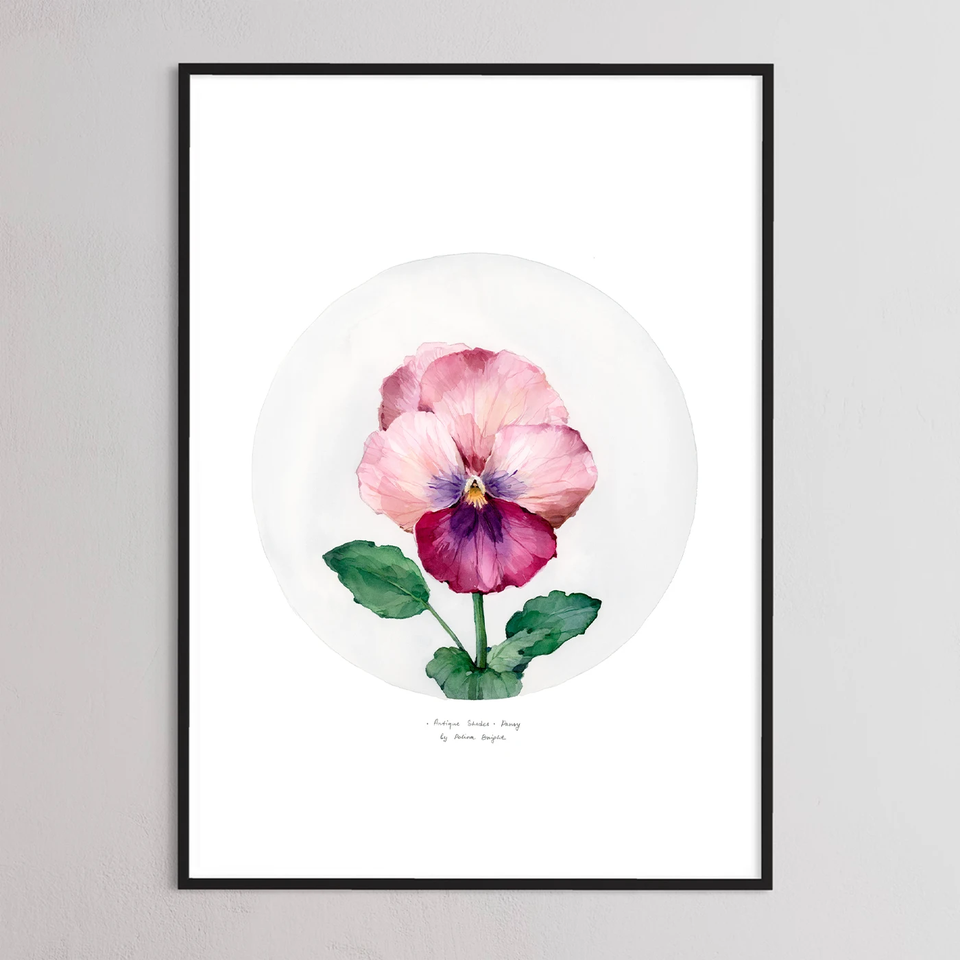 Antique Shades Pansy by Polina Bright