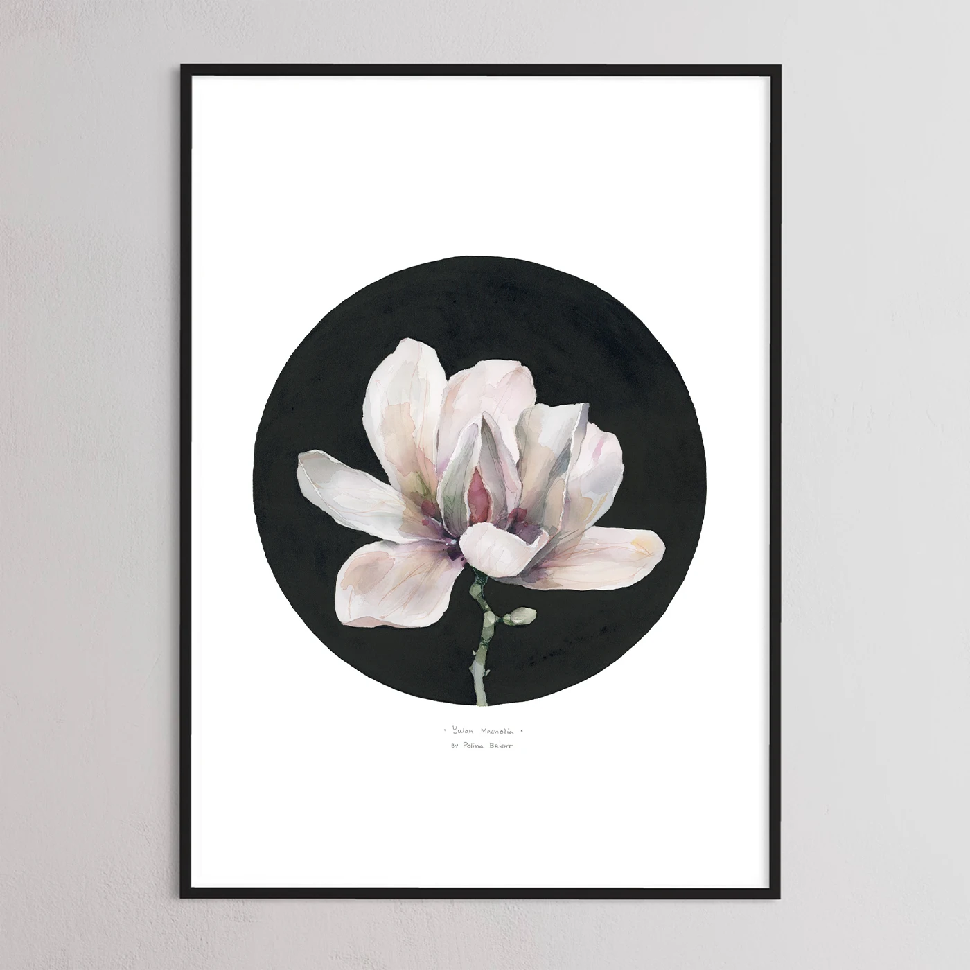 Yulan magnolia print by Polina Bright