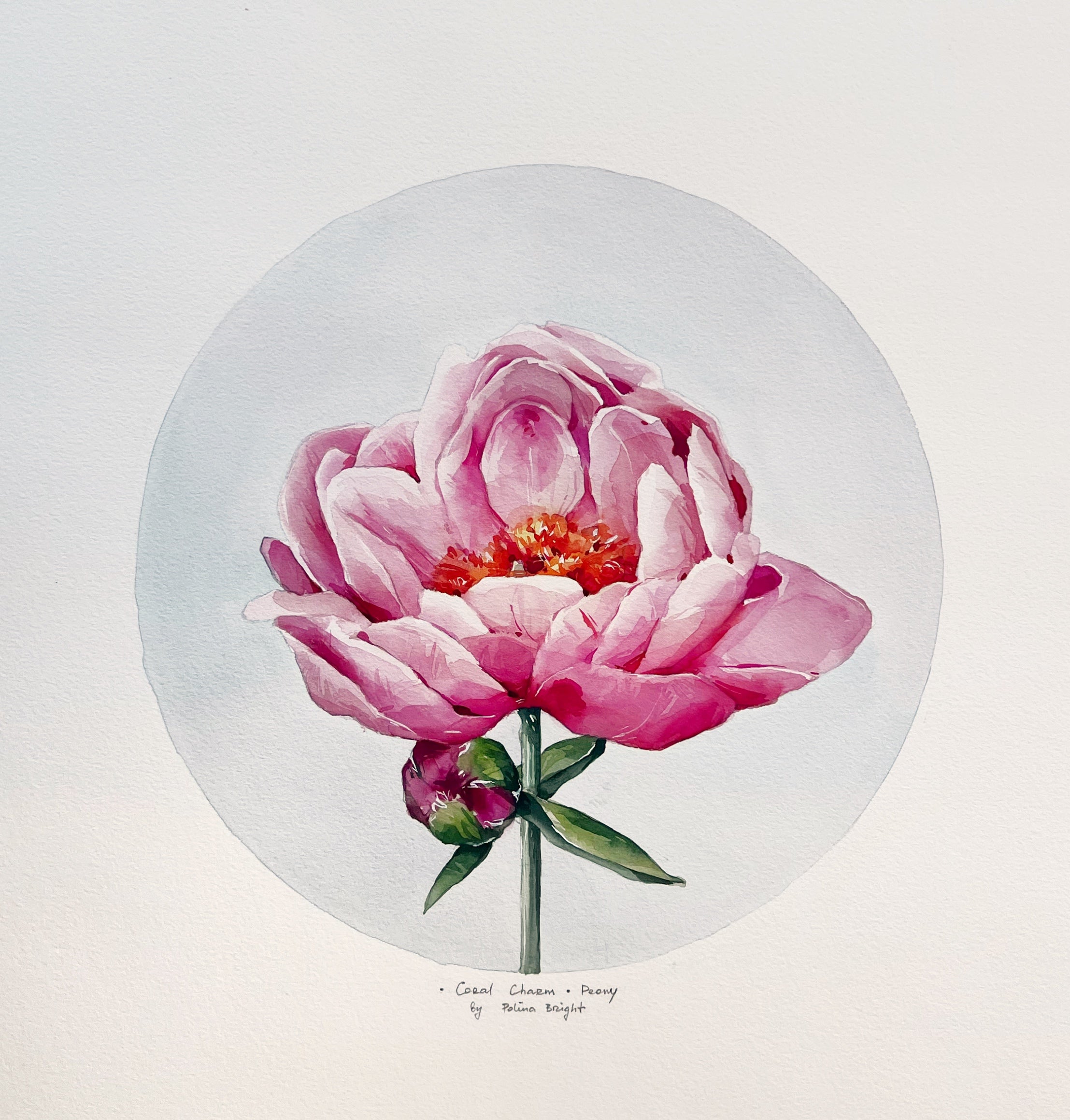 Coral charm peony deals