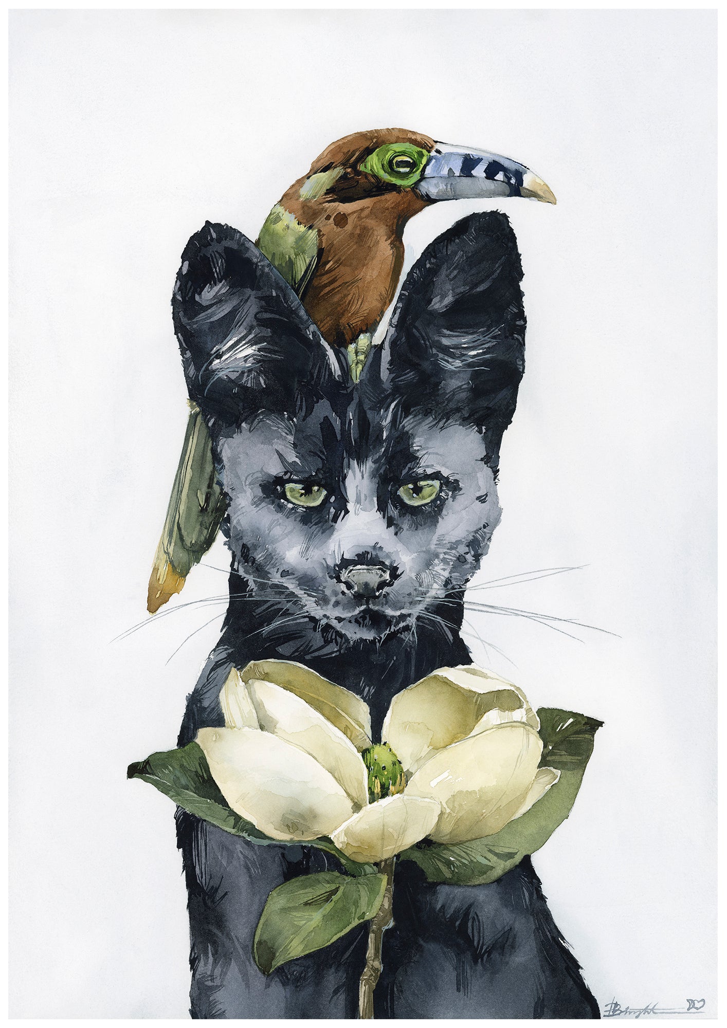 Trio: Spot-billed toucanet • Black Serval • Little Gem magnolia - print by Polina Bright