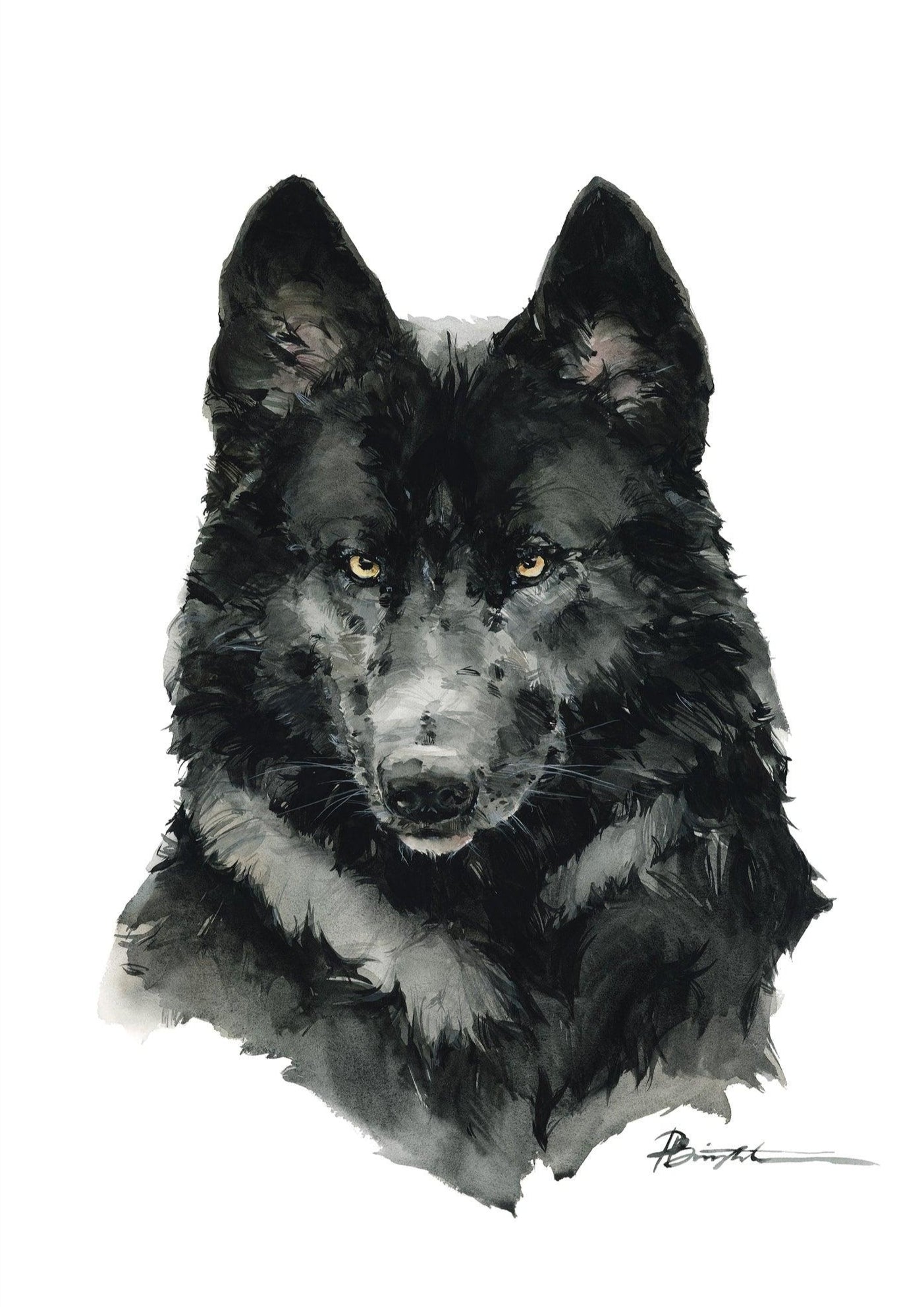 Black timber wolf - Polina Bright