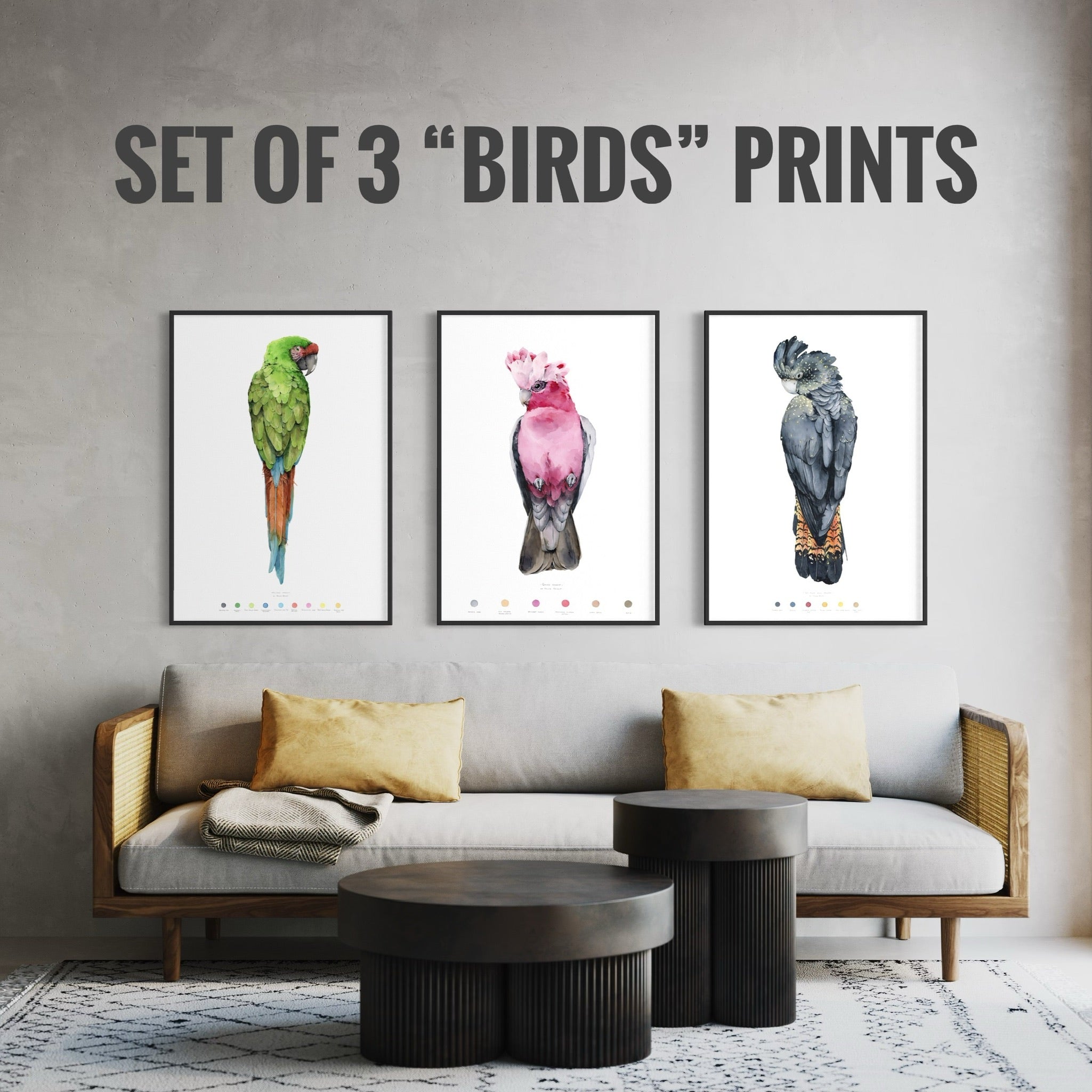 Set of 3 Prints from the "Birds" collection