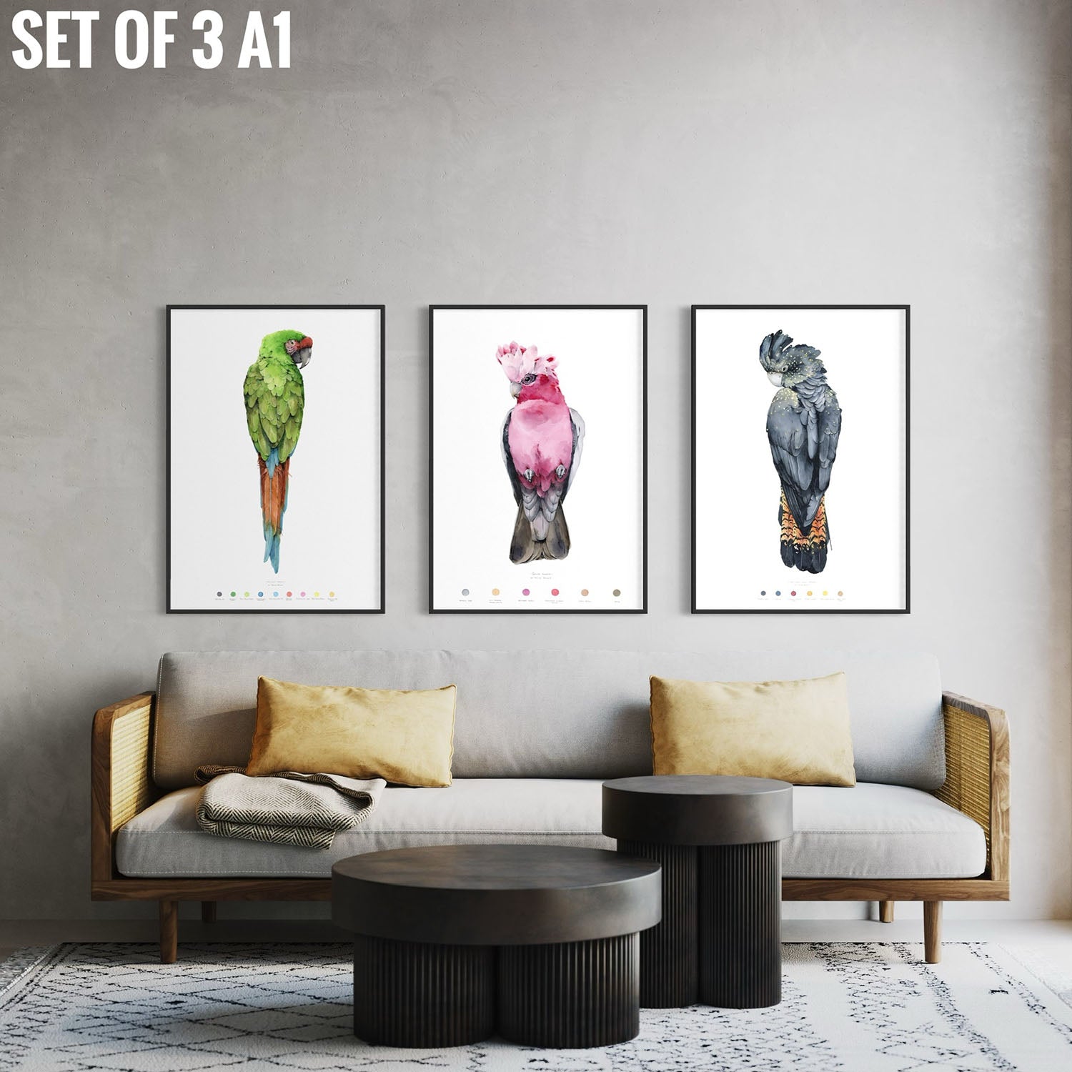 Set of 3 Prints from the "Birds" collection