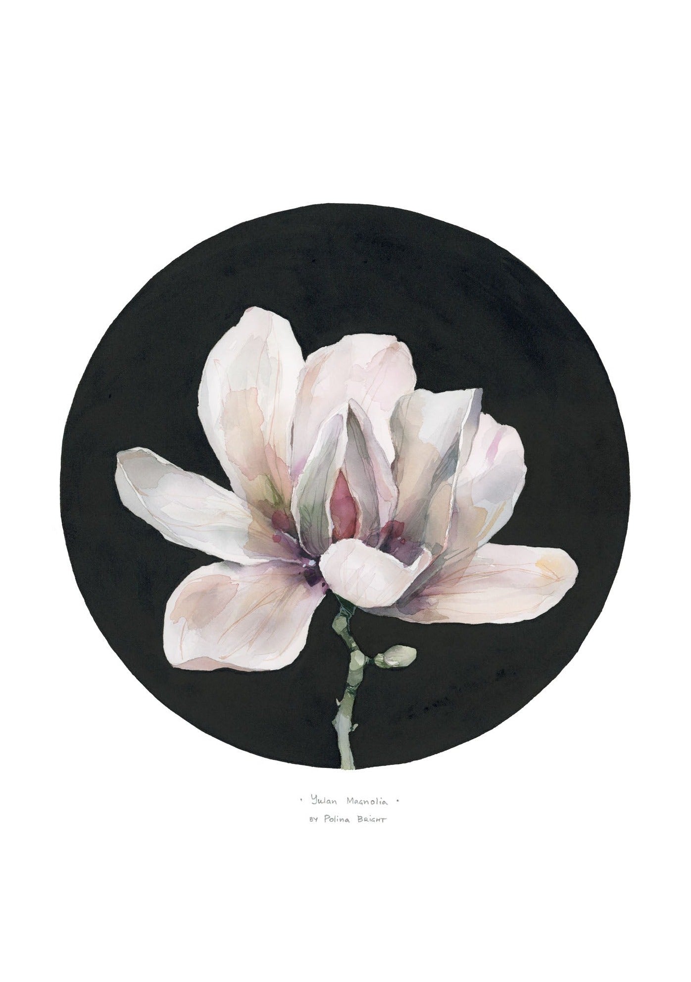 Yulan magnolia print by Polina Bright