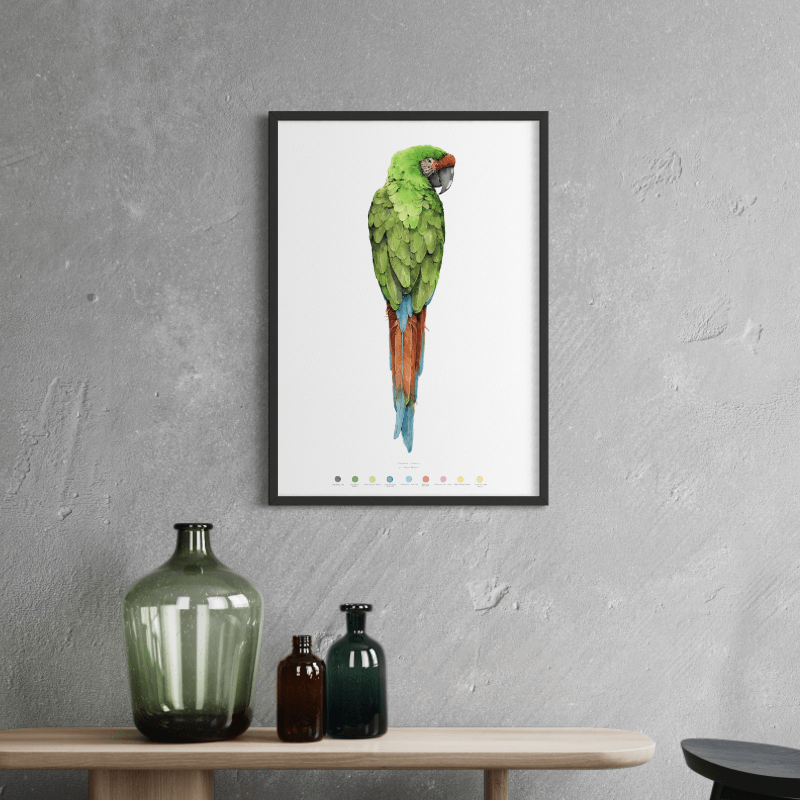 Military Macaw by Polina Bright