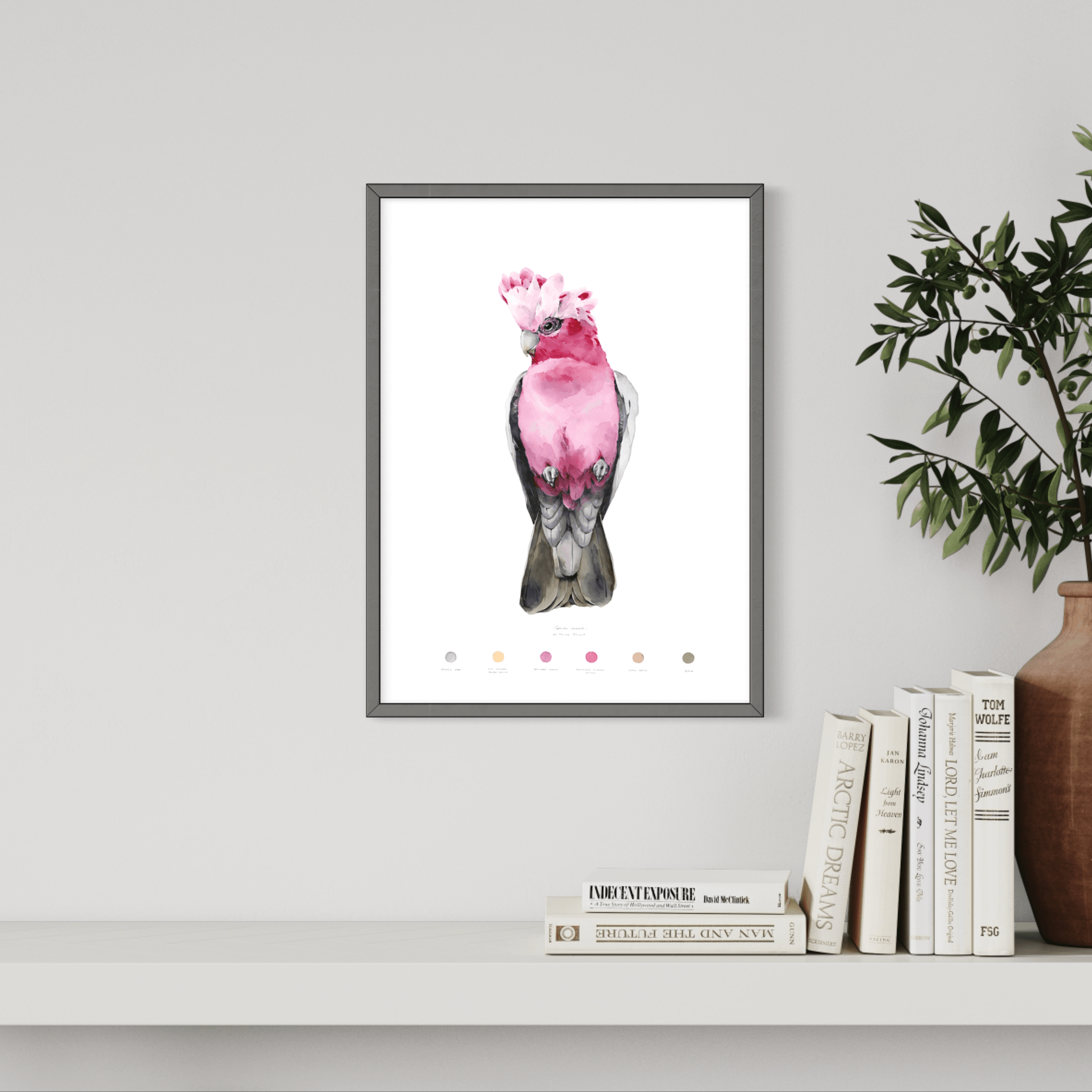 Galah Parrot - Polina Bright
