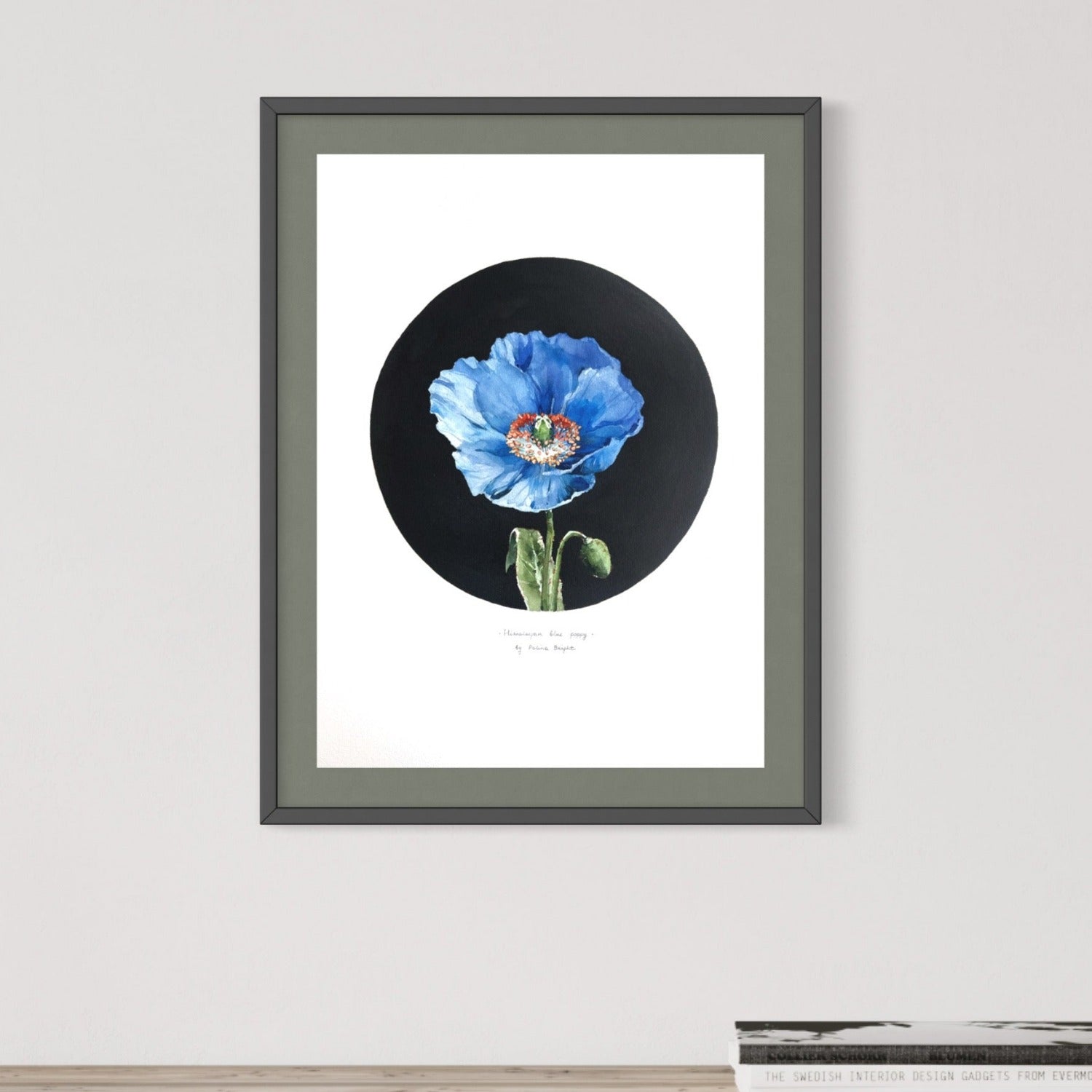 Himalayan blue poppy flower by Polina Bright