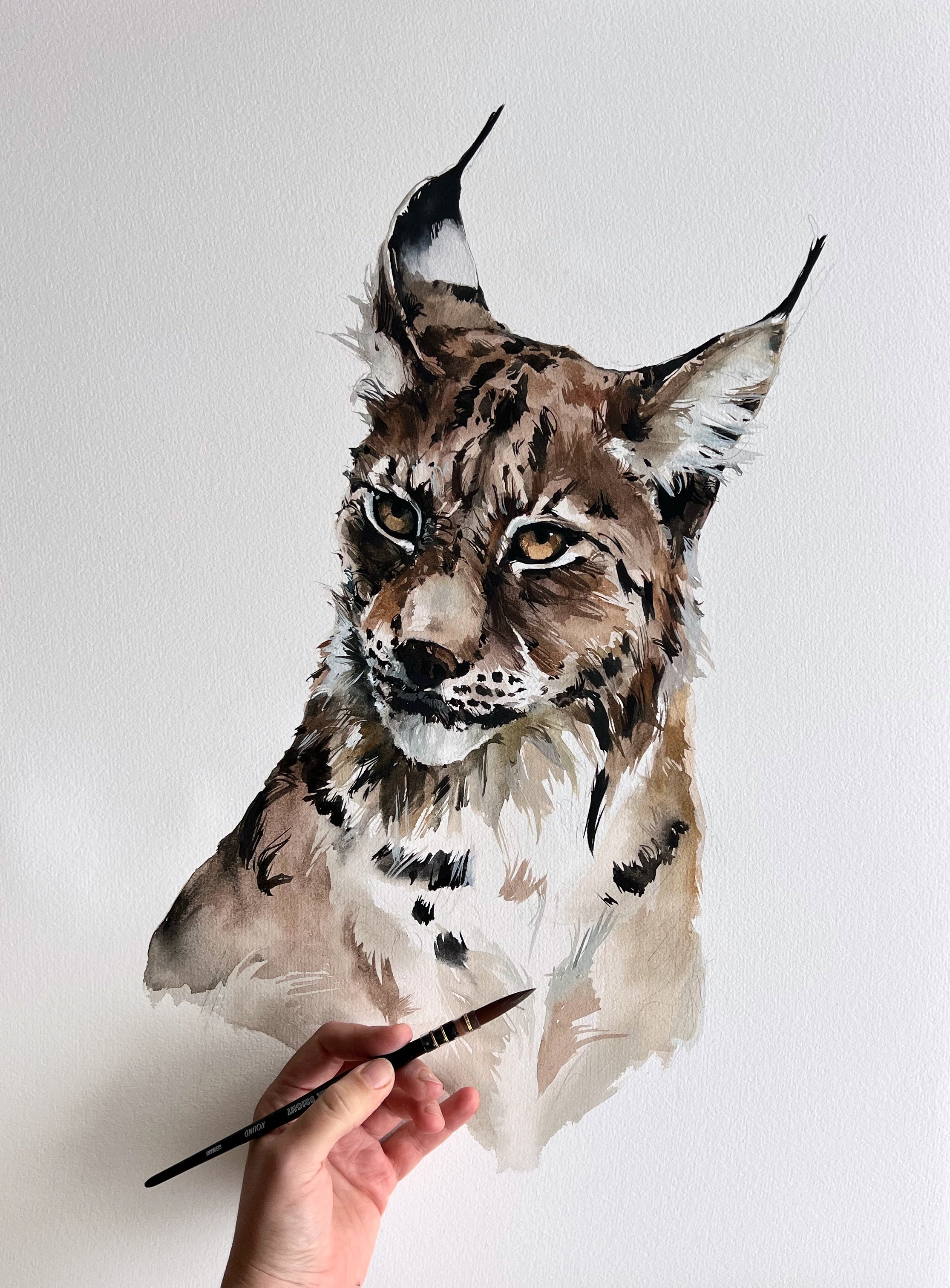 Lynx - print