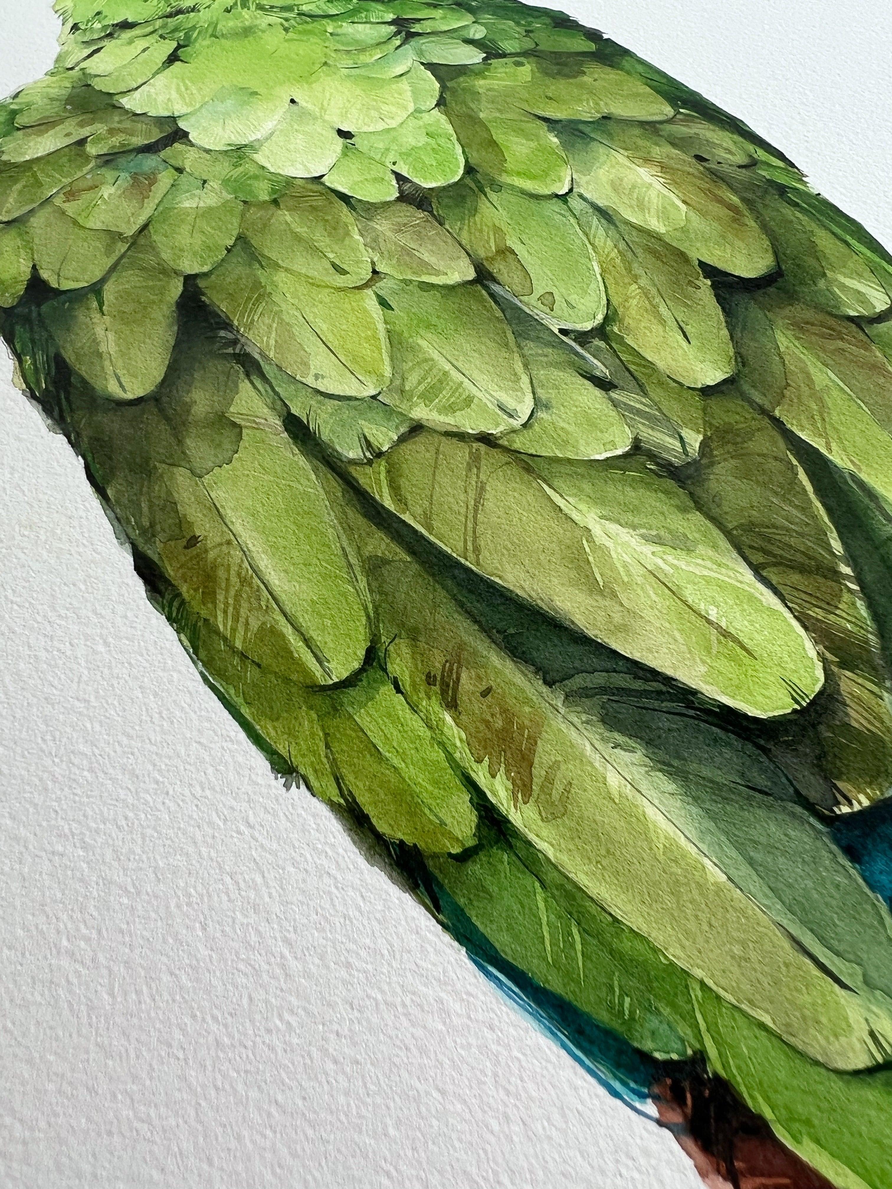 "Military Macaw" - original painting - Polina Bright