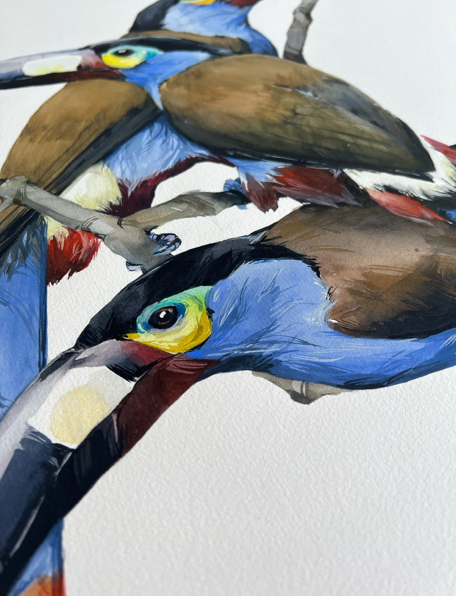 Plate-billed mountain toucans - original painting