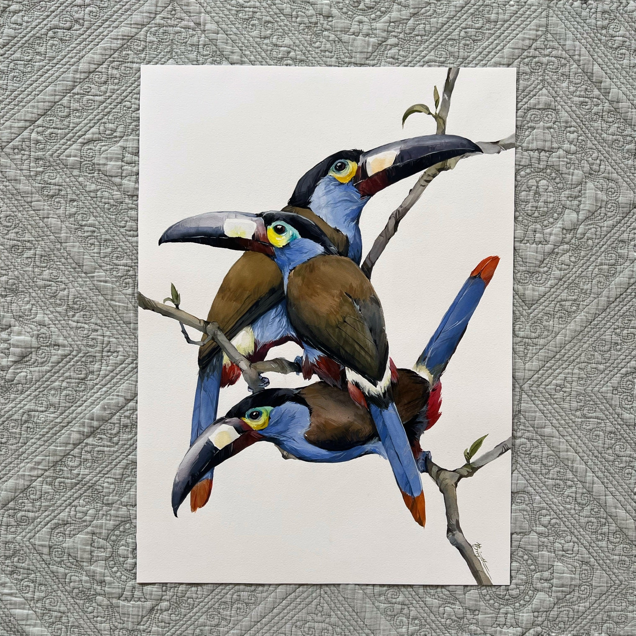 Plate-billed mountain toucans - original painting
